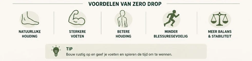 voordelen zero drop