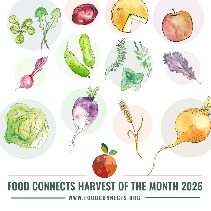 Vermont Harvest of the Month - 2026 Flip Calendar