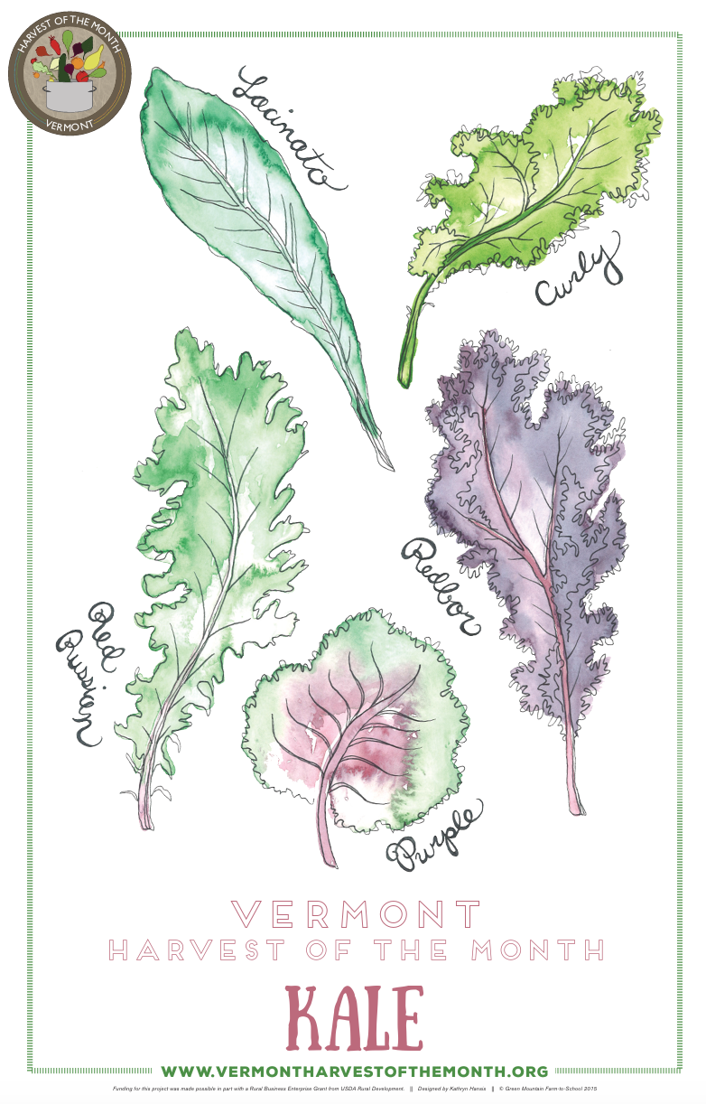 Screenshot 2026-02-26 at 11.25.06 AM.png