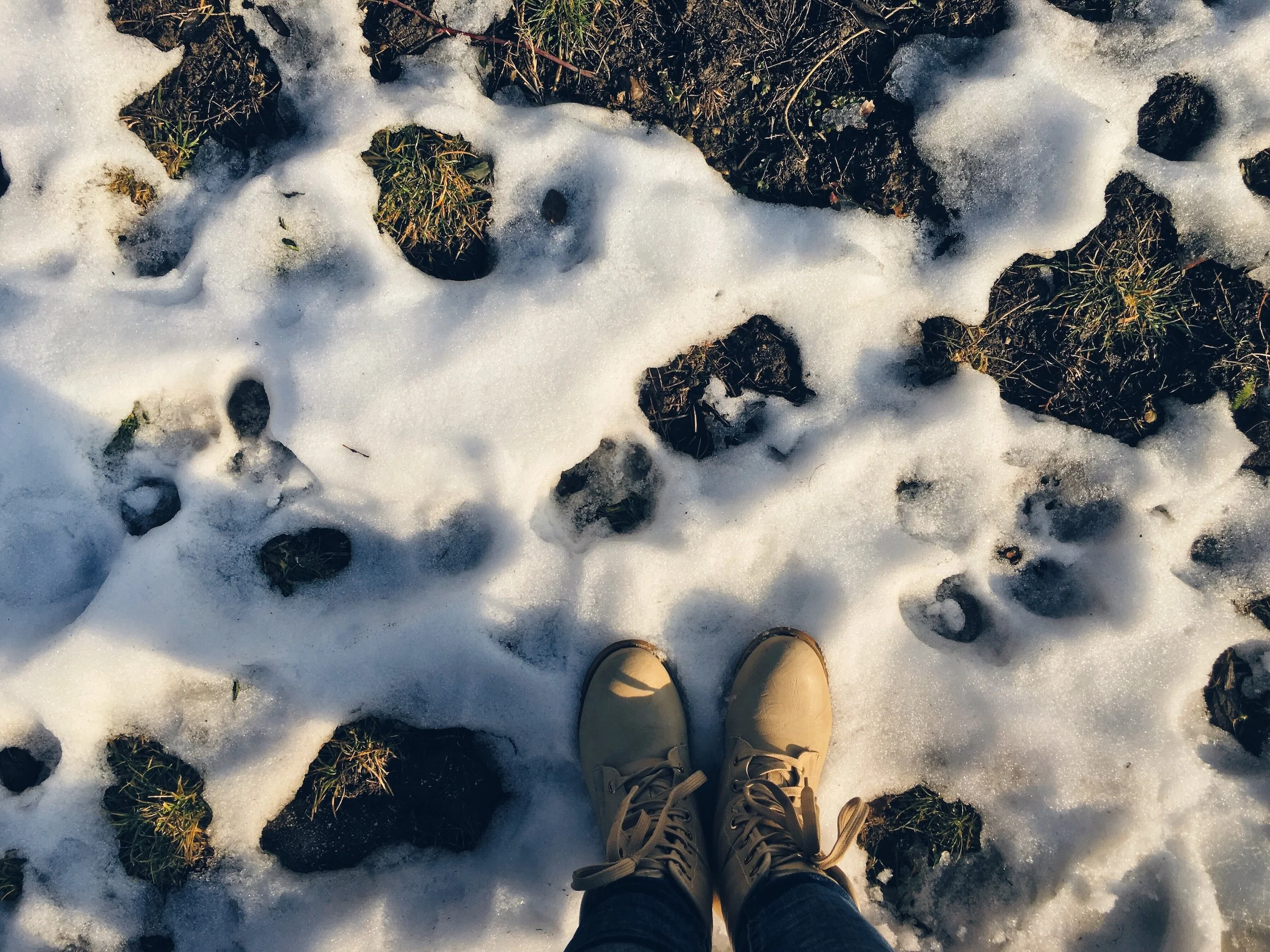 Spring Training: Not Just for Athletes