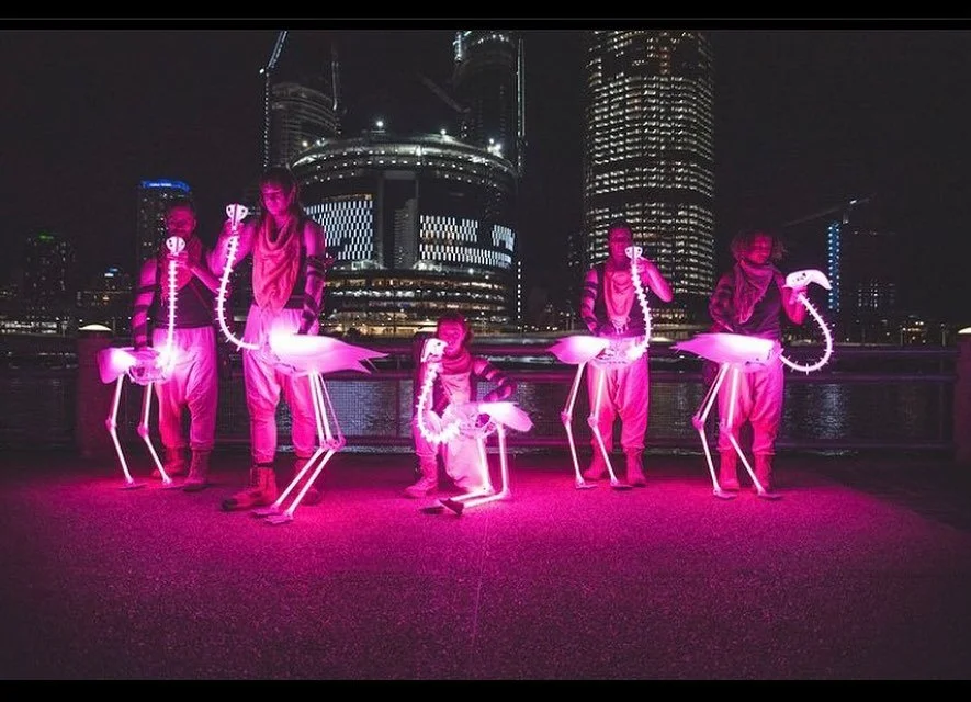 Really enjoyed puppeteering Filomena the Flamingo, Thank you @deadpuppetsociety 🦩 🦩 🦩 🦩🦩
📷 Flamingos @brisbanefestival, Photo @dean_snaps