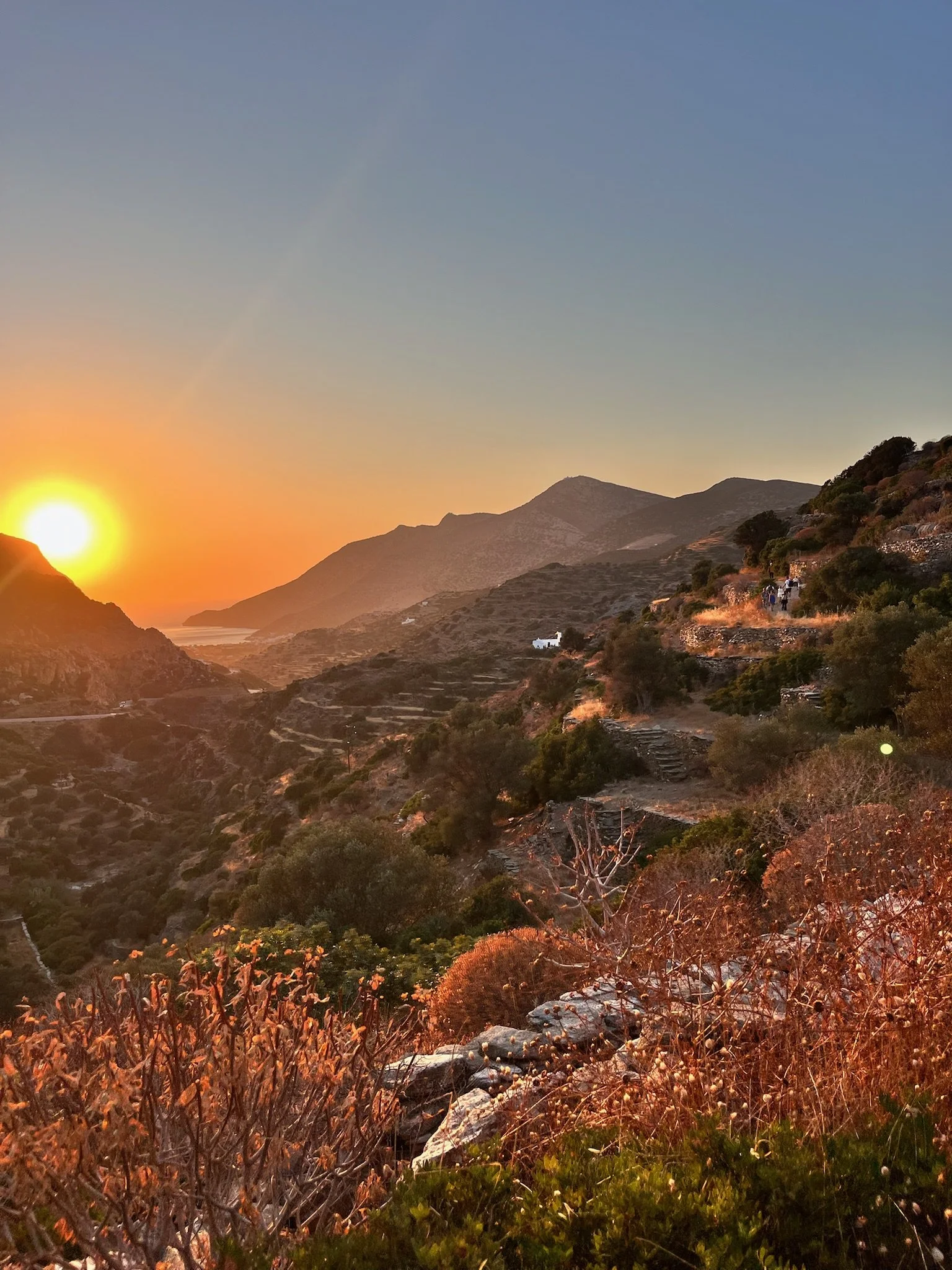 Sifnos, Greece, 2025.