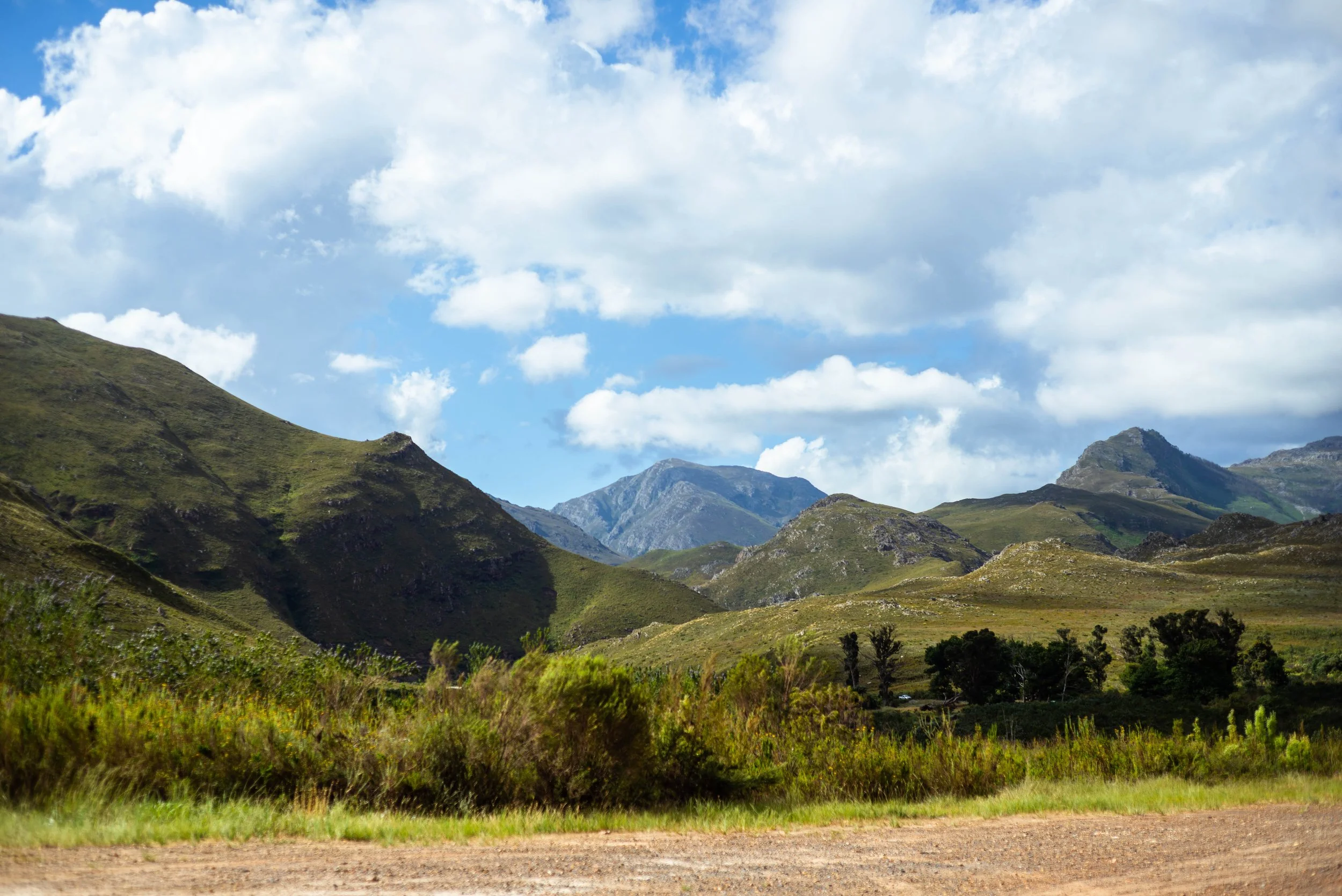 Western Cape, South Africa, 2022.