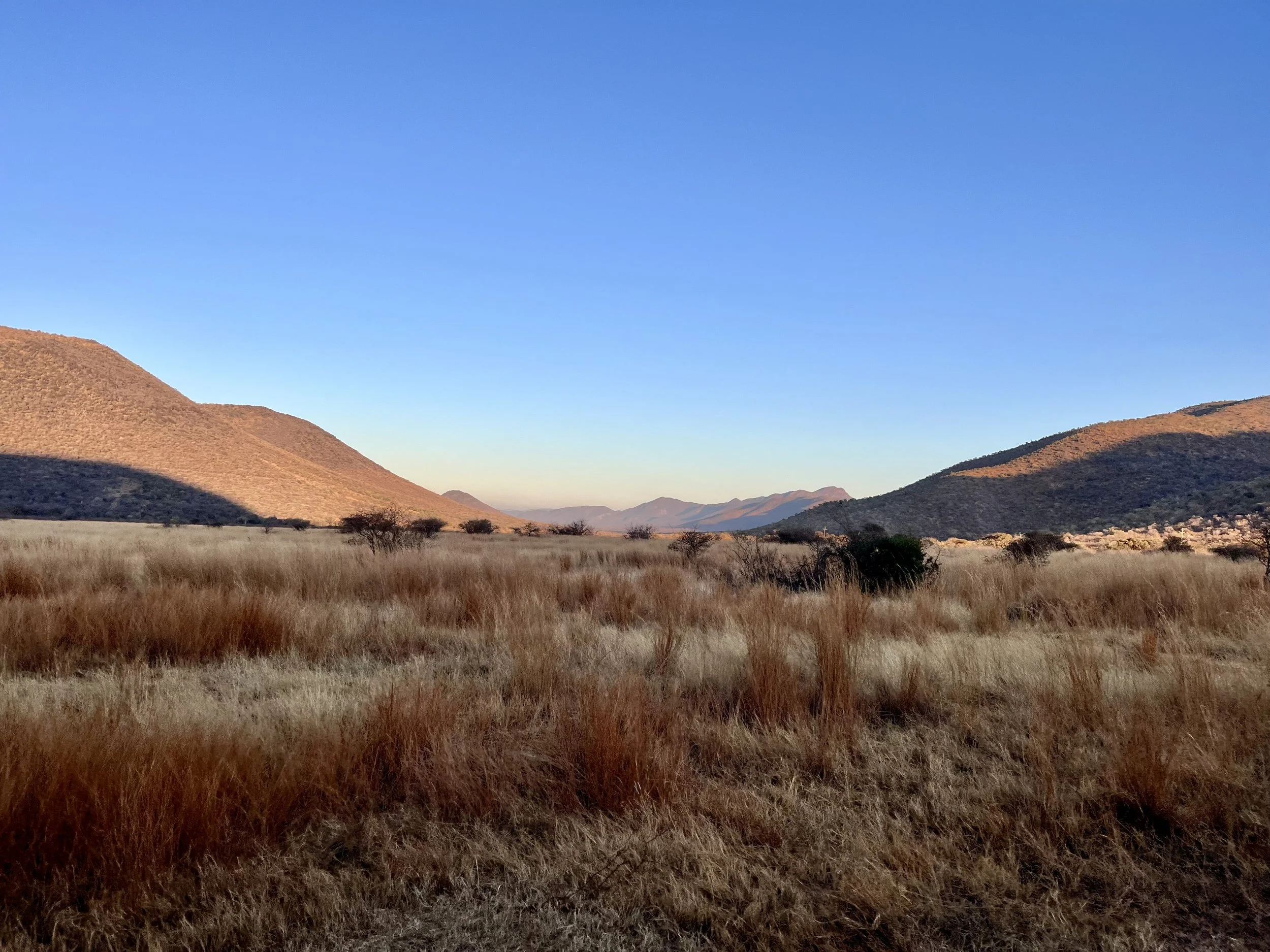 Waterberg Biosphere Reserve, Limpopo, South Africa, 2024.