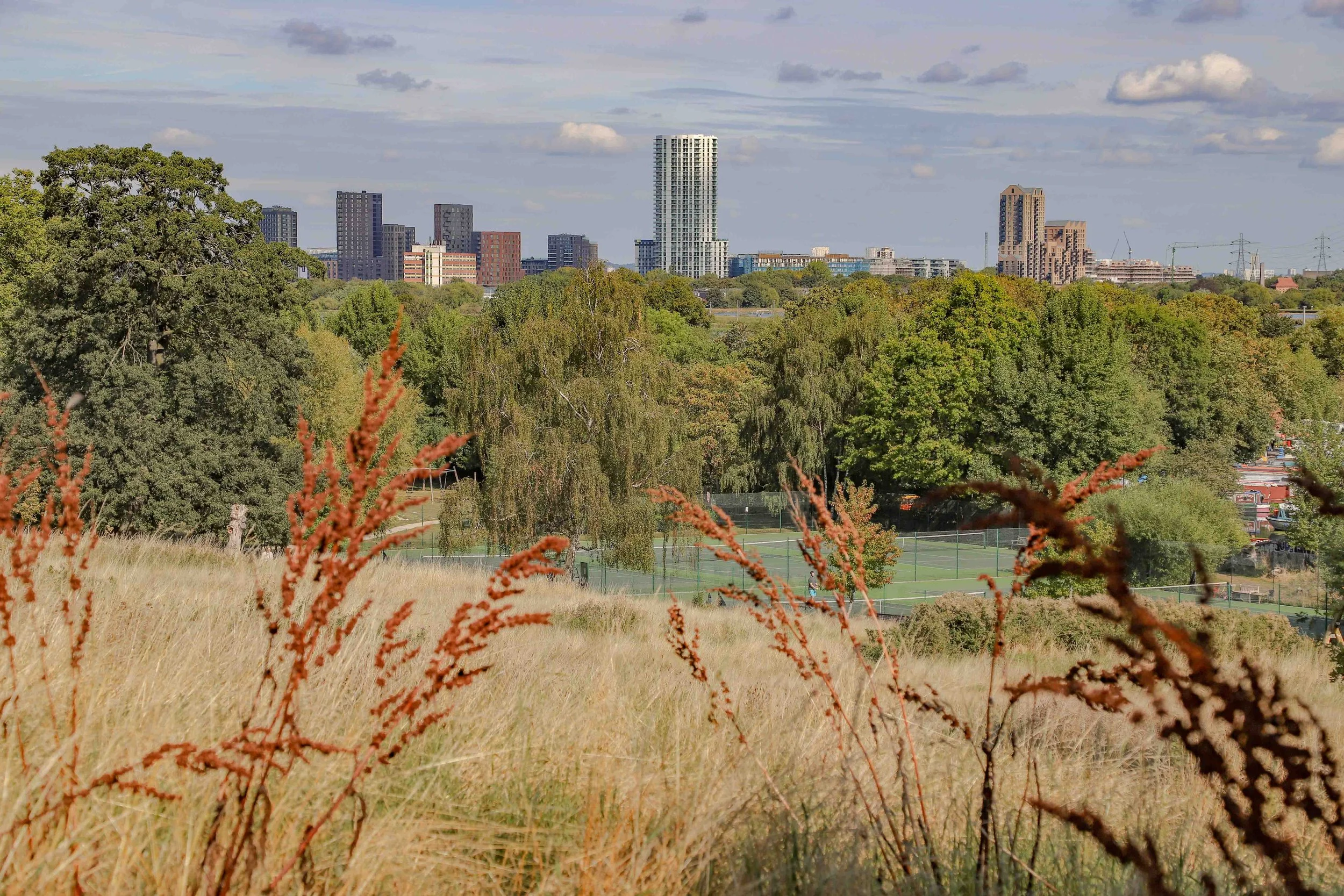 Springfield Park-23.jpg