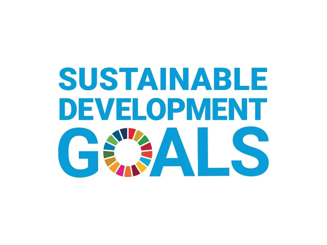916+CENTER+FOR+MUSIC+ECOSYSTEMS+SDG+Report_Partner+Logos_V12.jpg