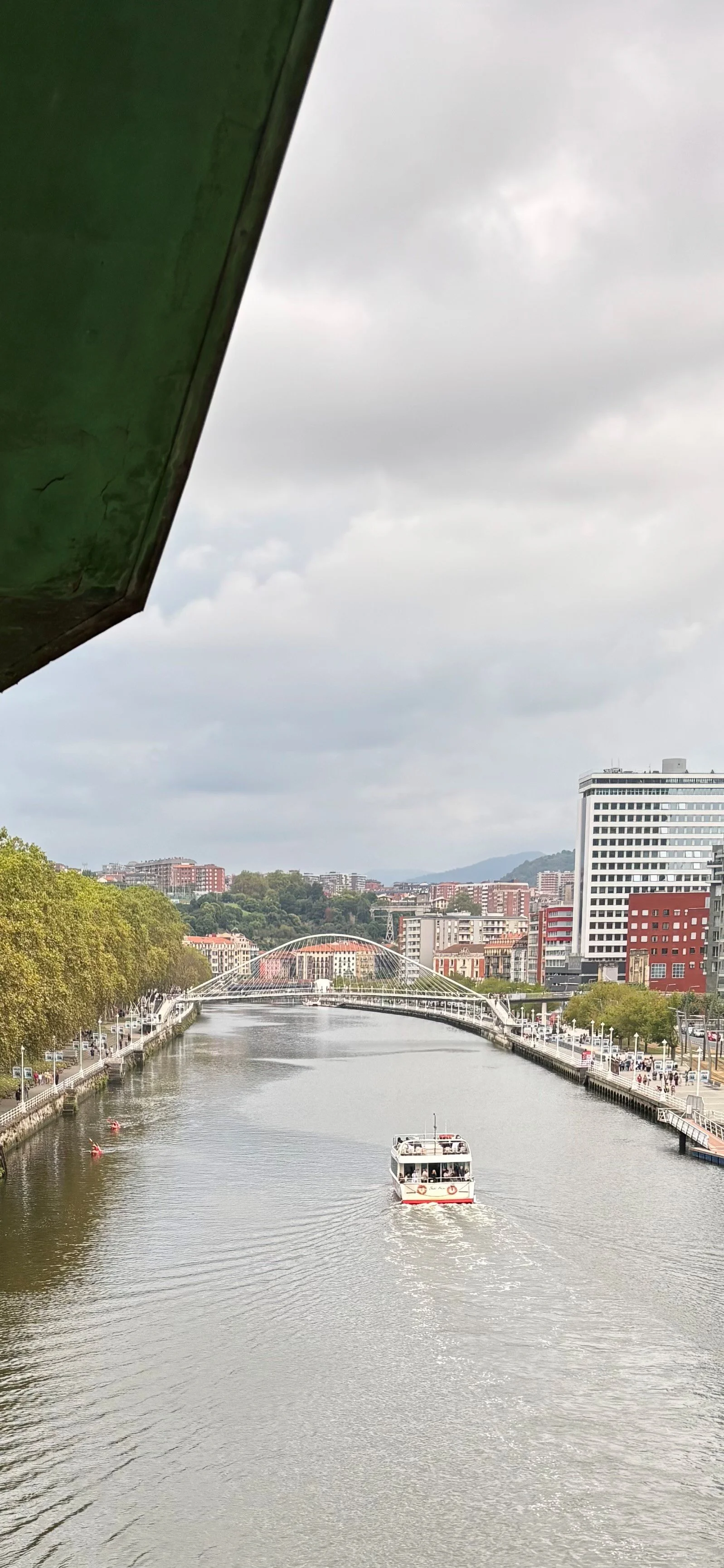 A river with a boat traveling down it, lined with trees and city buildings, overcast sky, with a bridge in the background.