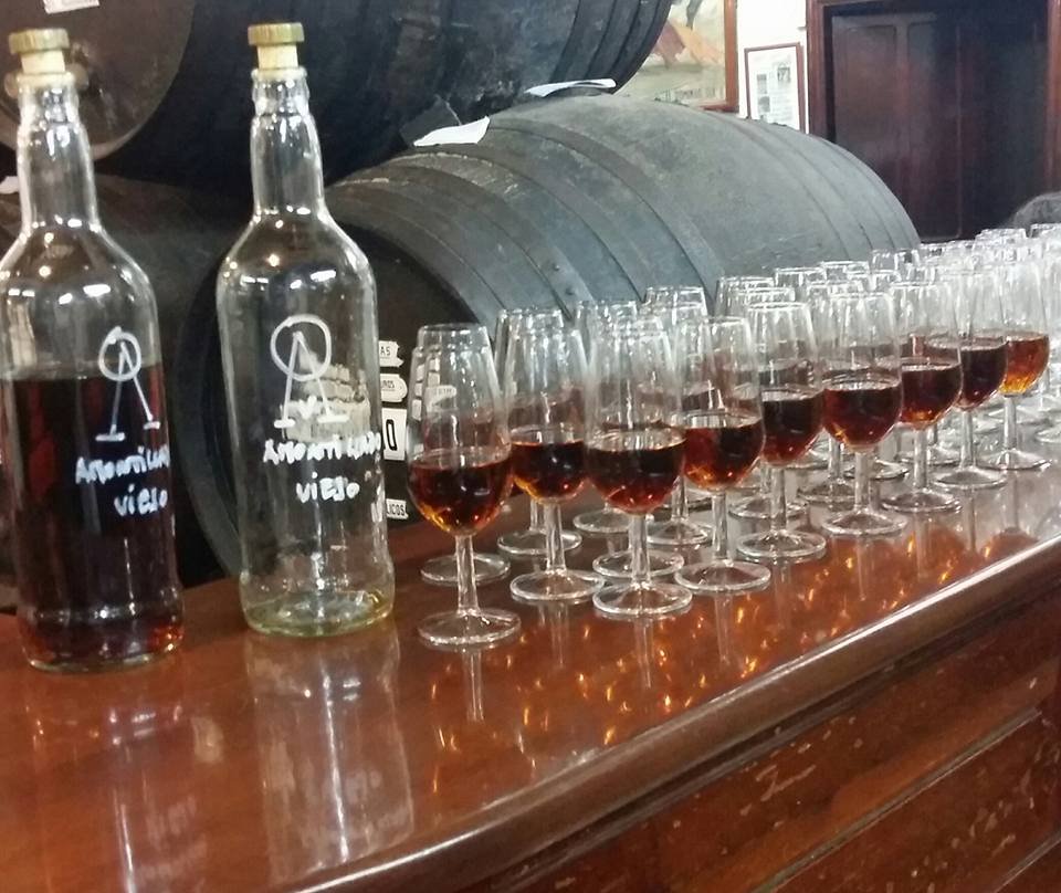 Rows of glasses filled with red wine on a polished wooden table, with bottles and wine barrels in the background.