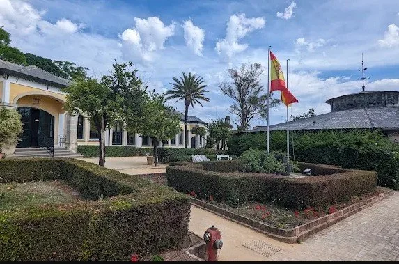 A landscaped courtyard with trimmed bushes, trees including a palm, and a building with yellow and white walls in the background. Two flags are flying, including the Spanish flag, with a partly cloudy sky above.