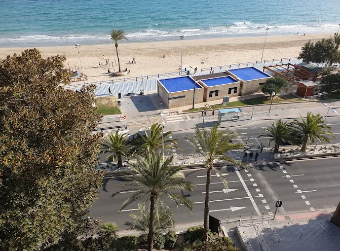 View of a beach with a road in front, lined with palm trees and small buildings, overlooking the ocean with sand and a few people.