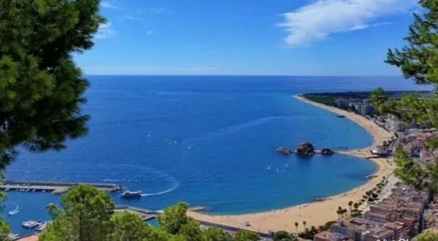 A scenic view of a crescent-shaped beach with blue ocean waters, a breakwater, and nearby buildings, framed by green trees under a bright blue sky.