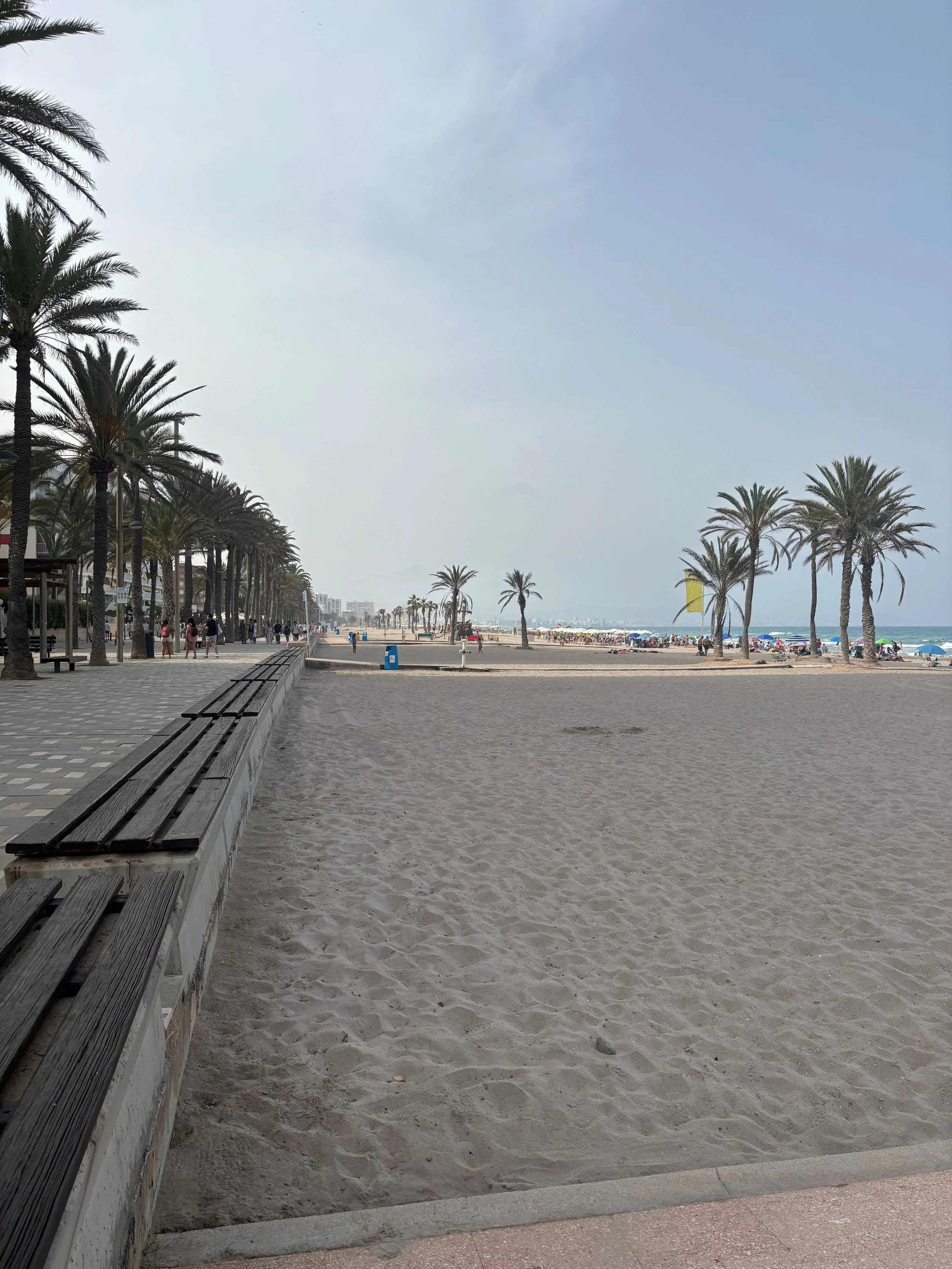 A beach promenade lined with palm trees, benches, and people walking. The sandy beach with umbrellas and the ocean are visible to the right. There are buildings in the distance under a partly cloudy sky.