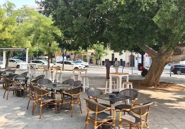 Outdoor seating area with several tables and chairs under a large tree, near a sidewalk with parked cars and a bus stop.