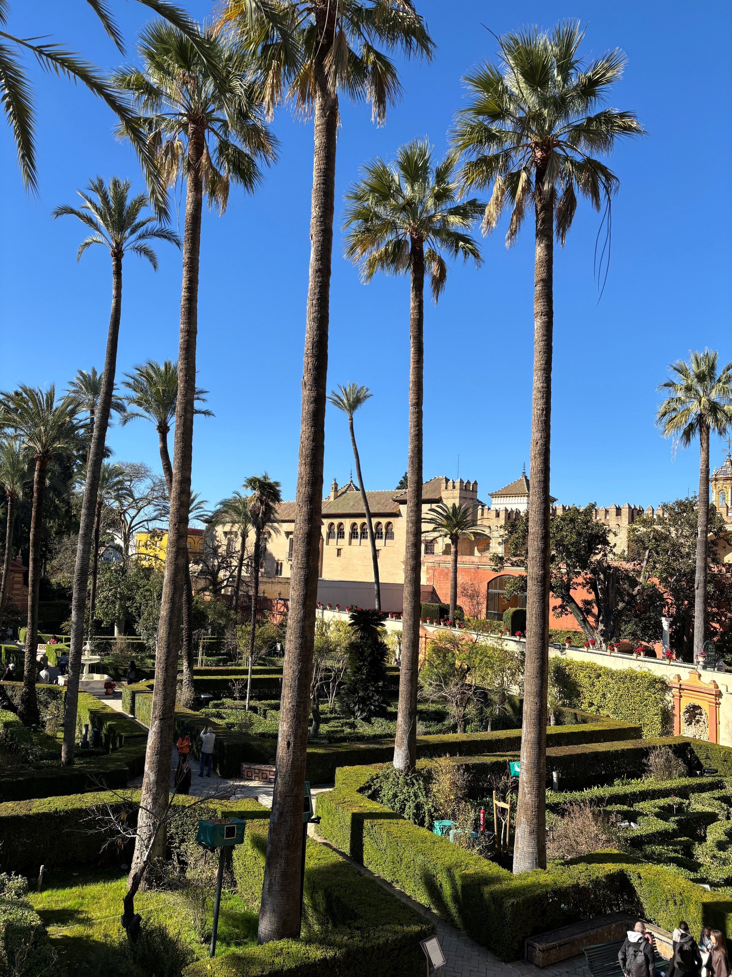 A lush garden with tall palm trees, well-maintained hedges, and pathways. In the background, there are historic buildings with ornate architecture and a clear blue sky overhead.
