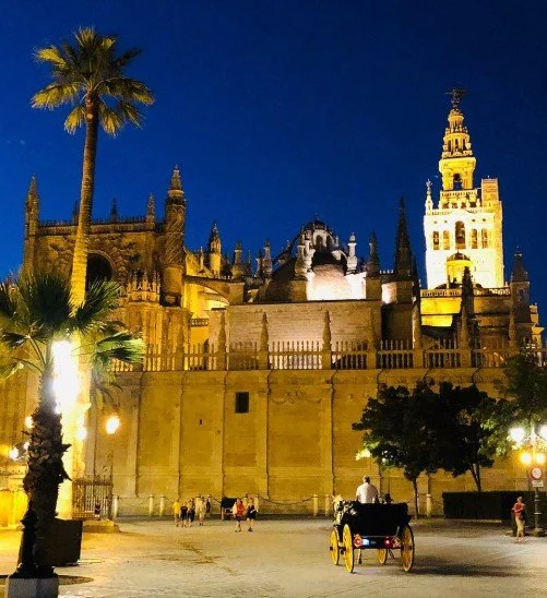 Night view of a historic cathedral with ornate towers, illuminated against a dark blue sky, with palm trees and a horse-drawn carriage in the foreground.