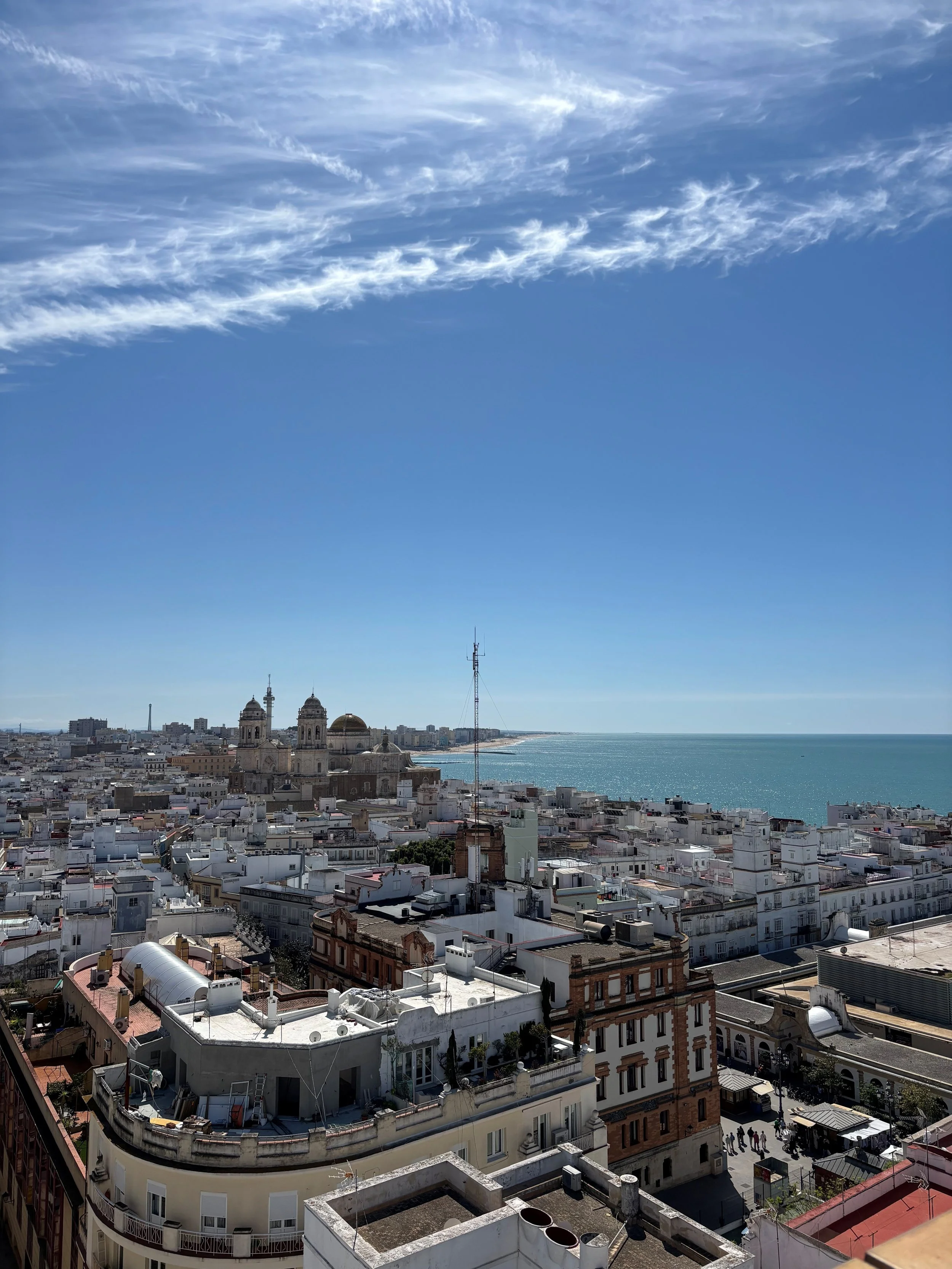 A cityscape with white buildings, a church with two bell towers and domes, and an ocean in the background under a blue sky with wispy clouds.