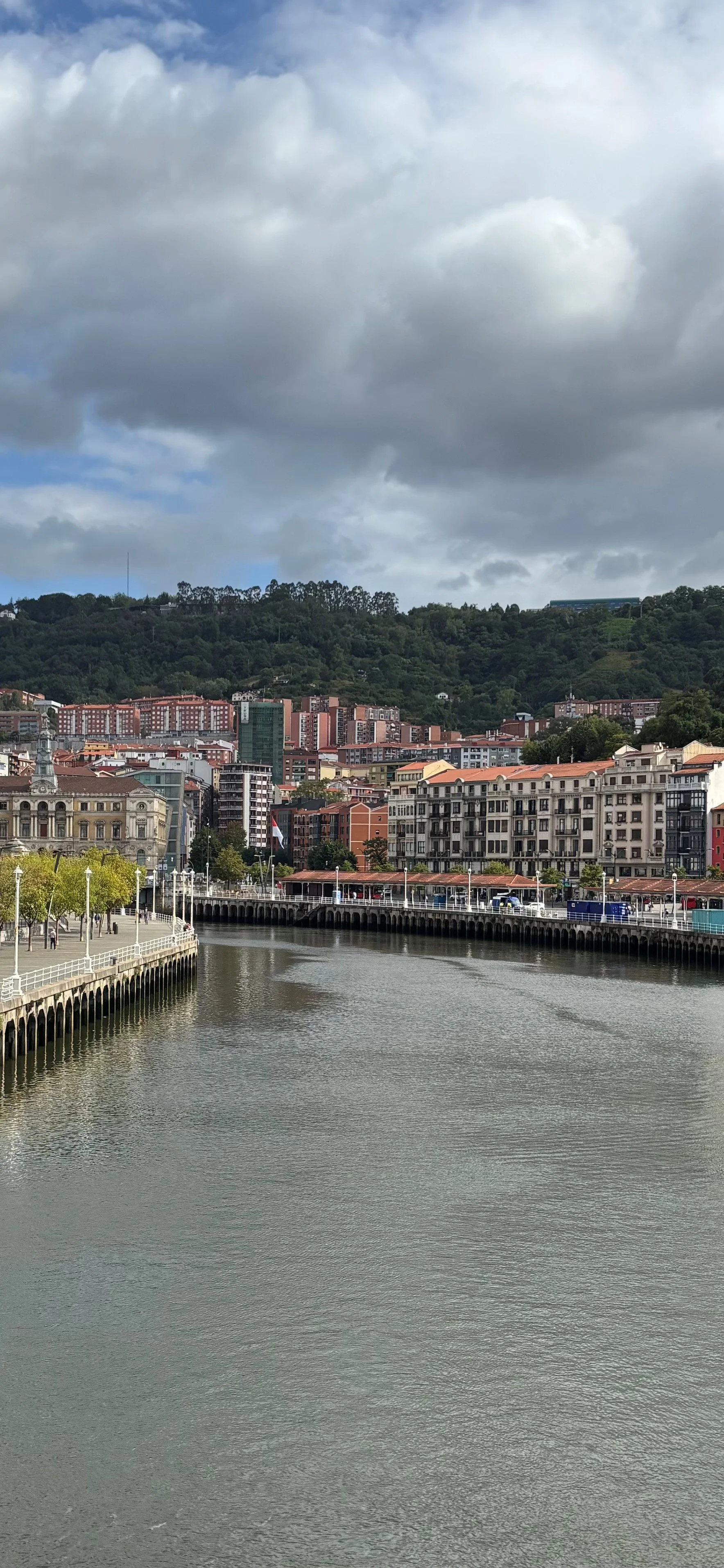 Cityscape with a river in the foreground, buildings along the riverbank, a hillside with trees in the background, and a partly cloudy sky overhead.