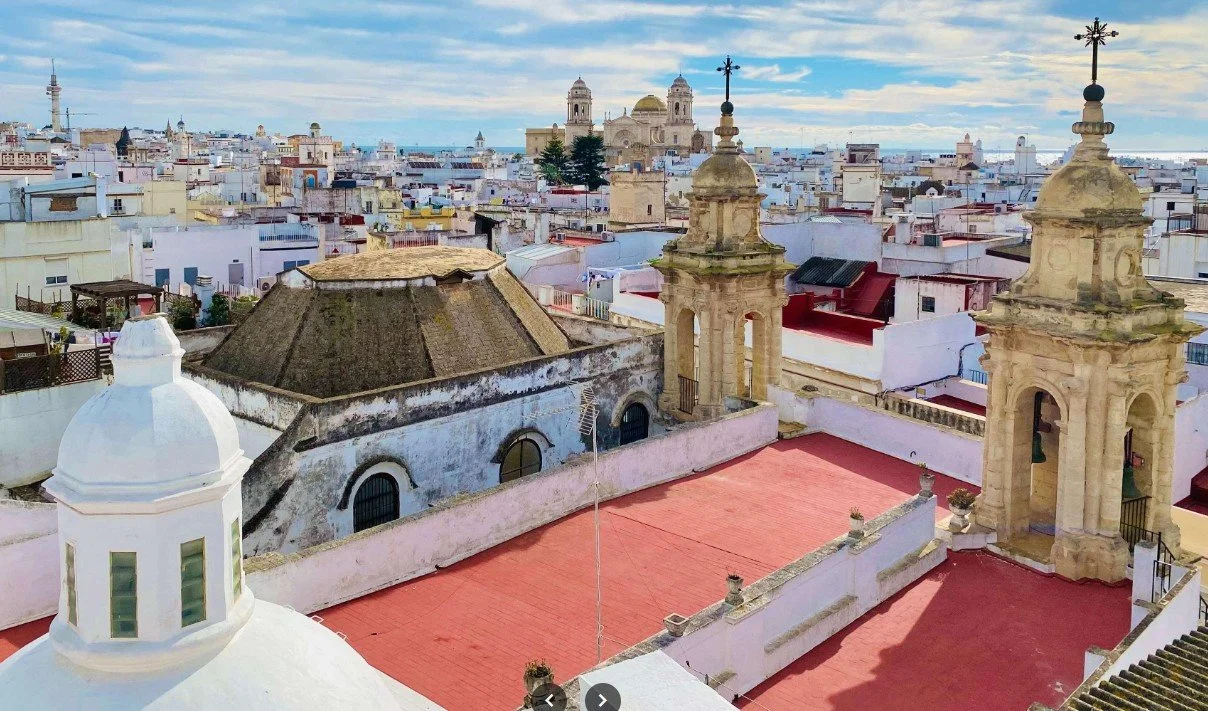 Cityscape view of historic buildings with domed rooftops and bell towers in a Latin American city, with some trees and cloudy sky in the background.