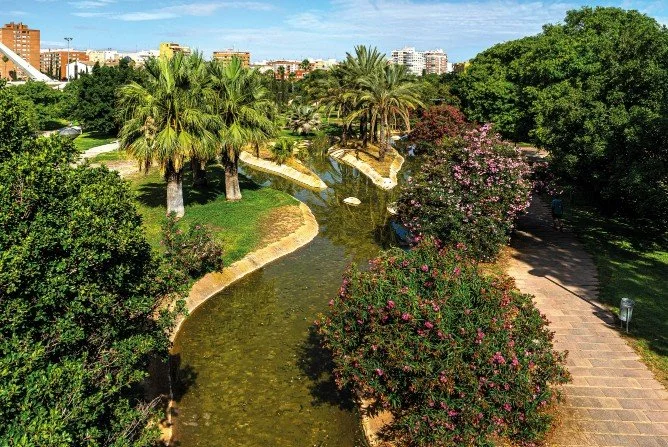 A park with a winding stream, palm trees, flowering bushes, and a paved walkway, with buildings visible in the background under a blue sky.