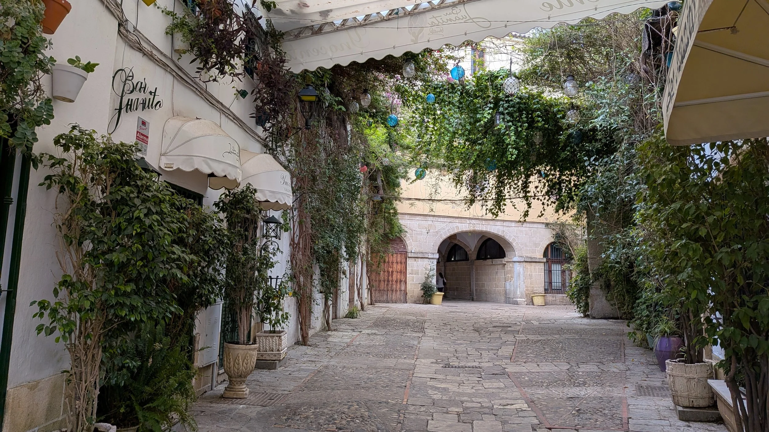 A quiet cobblestone alleyway lined with green plants in pots and hanging baskets, leading to an archway in a historic stone building, with decorative lanterns hanging overhead under a canopy of leafy vines.