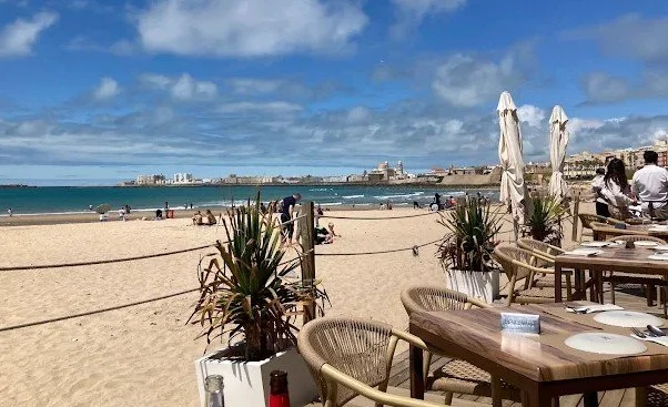 Beachside restaurant with wooden tables and chairs, surrounded by potted plants and white umbrellas, overlooking a sandy beach and ocean under a partly cloudy sky.