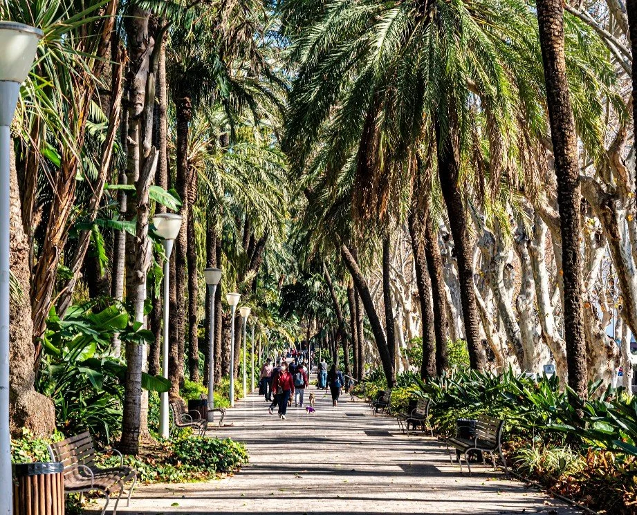 People walking along a tree-lined pathway in a park with benches and streetlights.