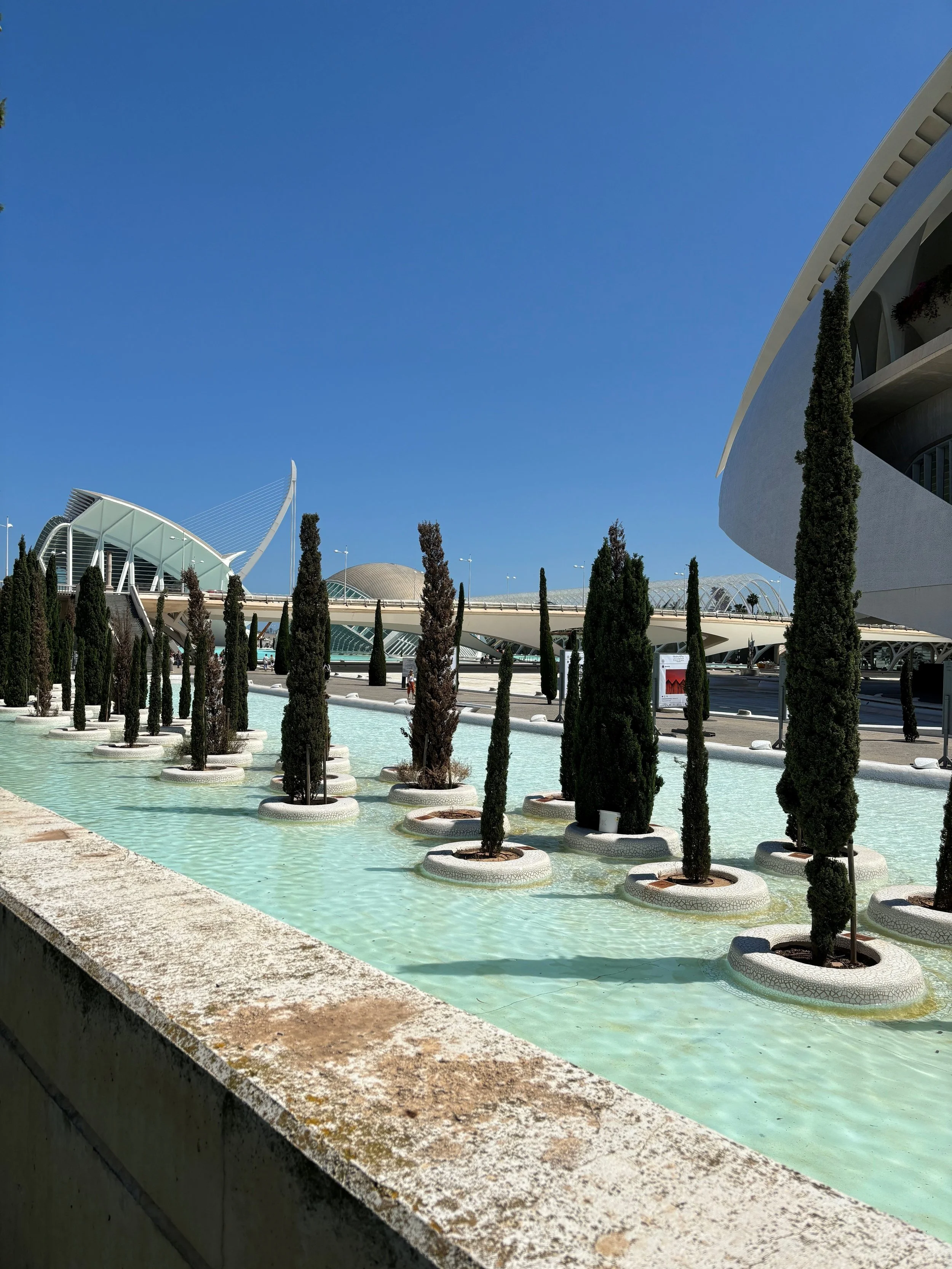 A modern architectural structure with a blue sky, with a water feature in the foreground containing potted evergreen trees.
