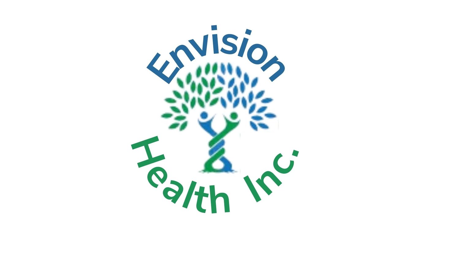 Envision Health Inc