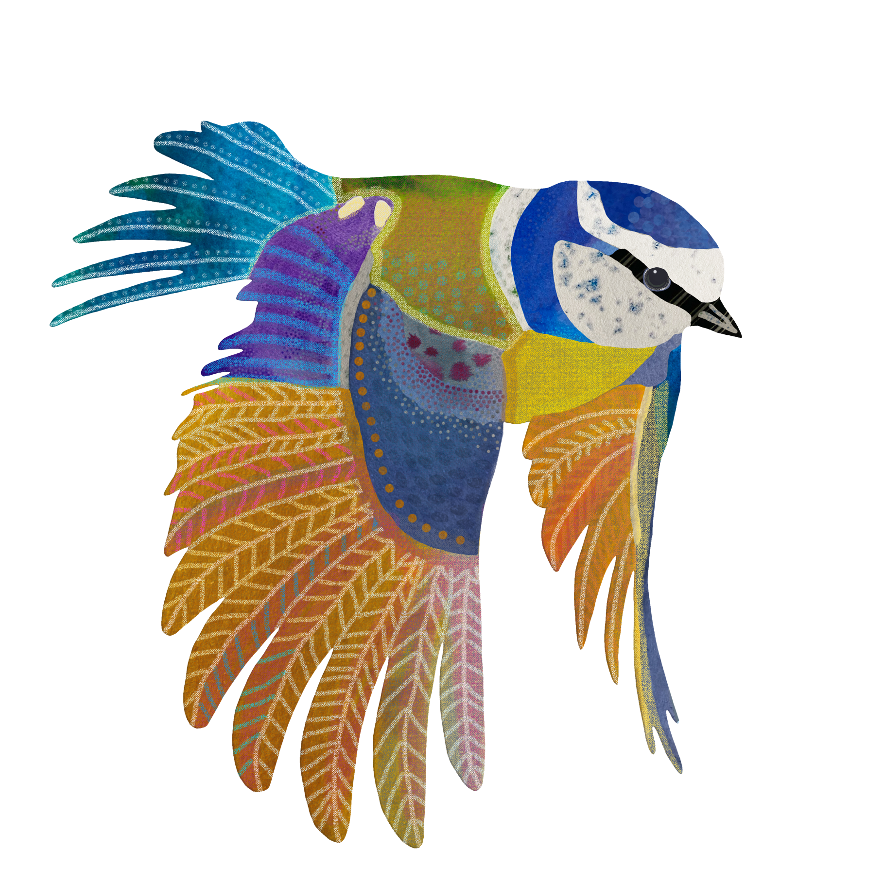 Eurasian Blue Tit