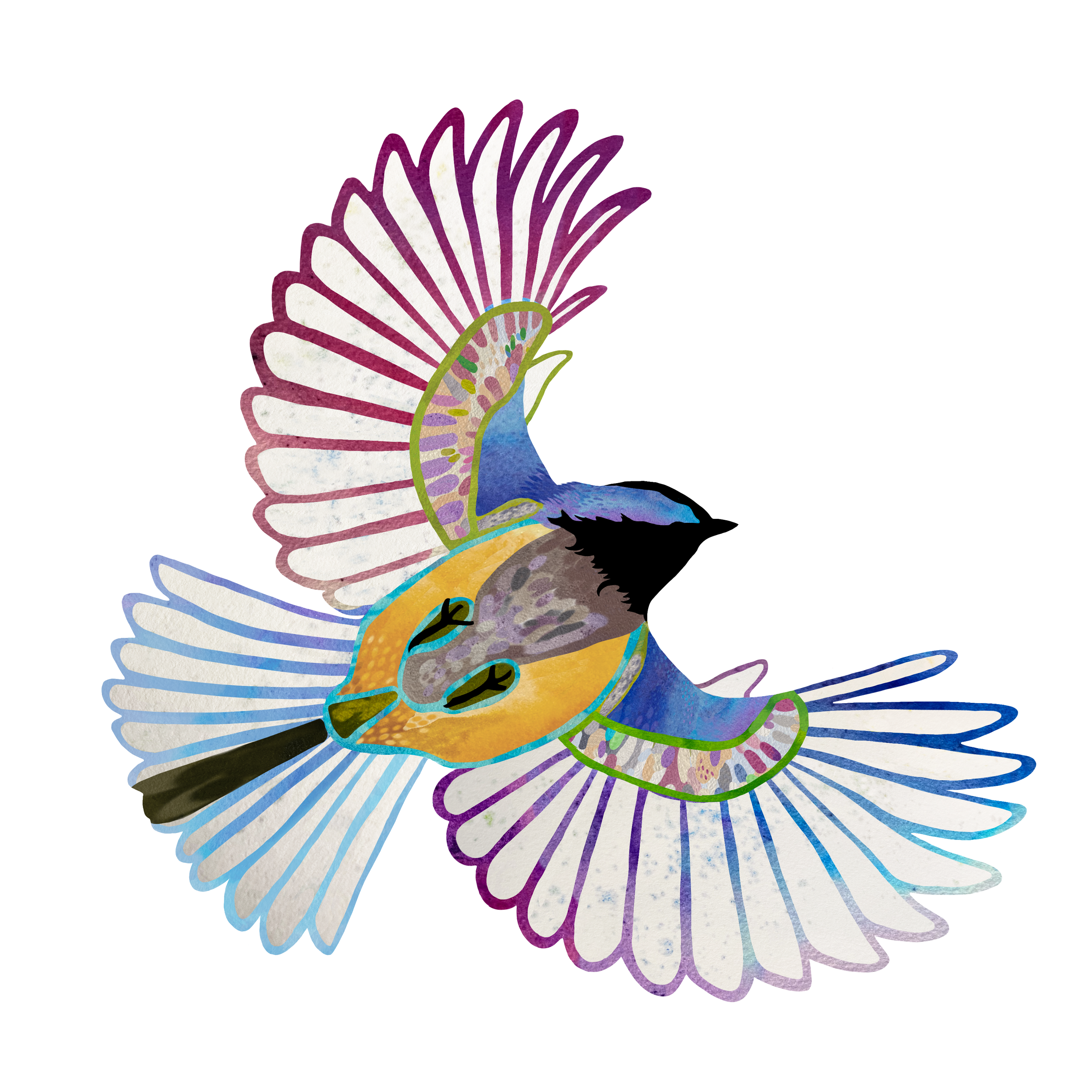 Chickadee II