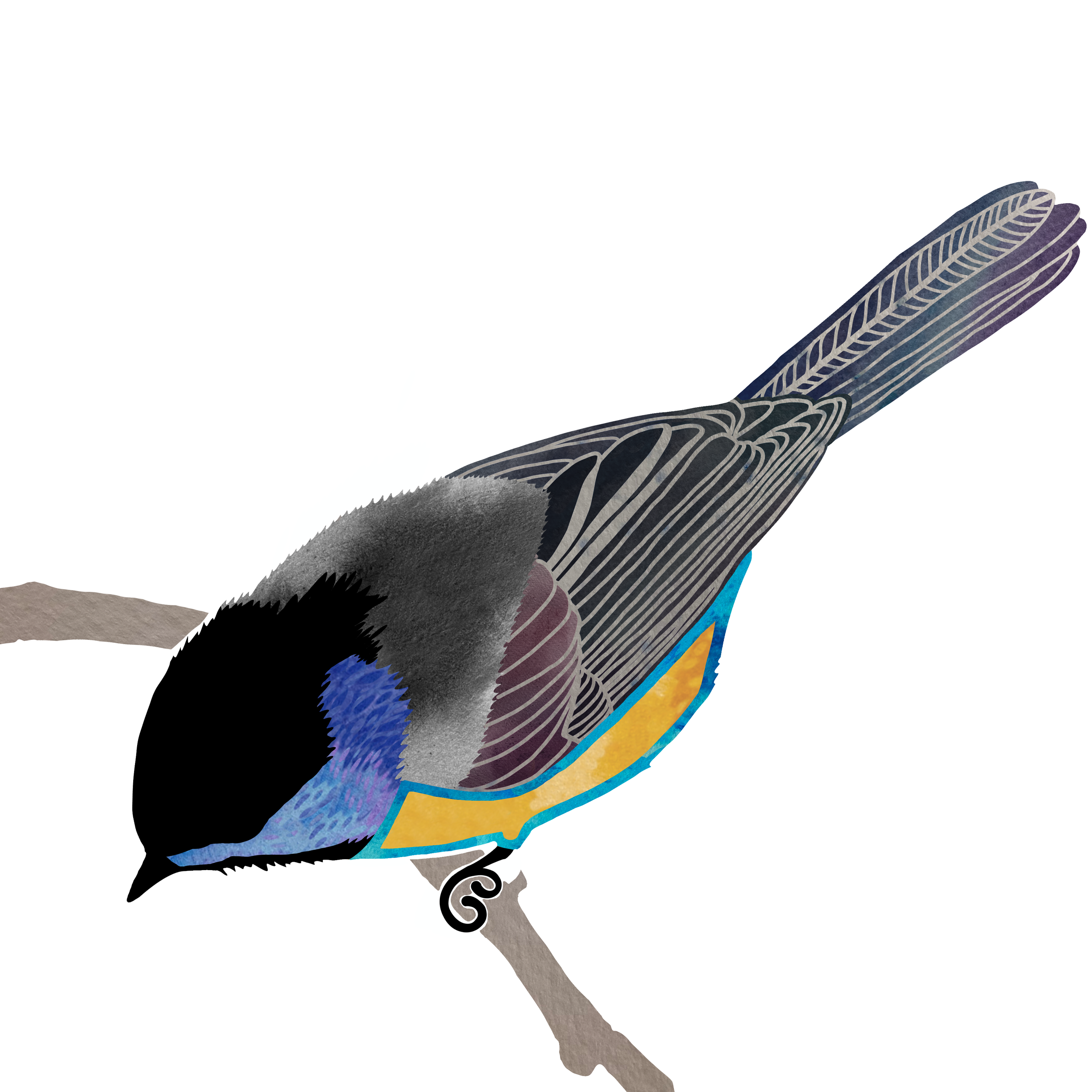 Chickadee I