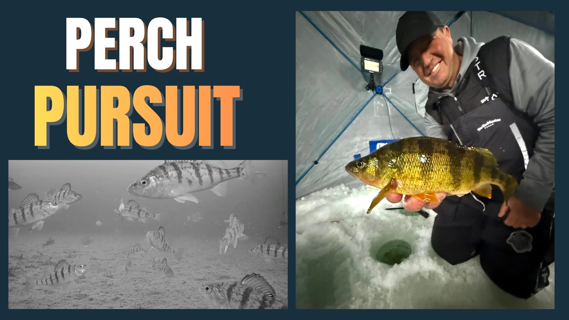Episode 8: Perch Pursuit