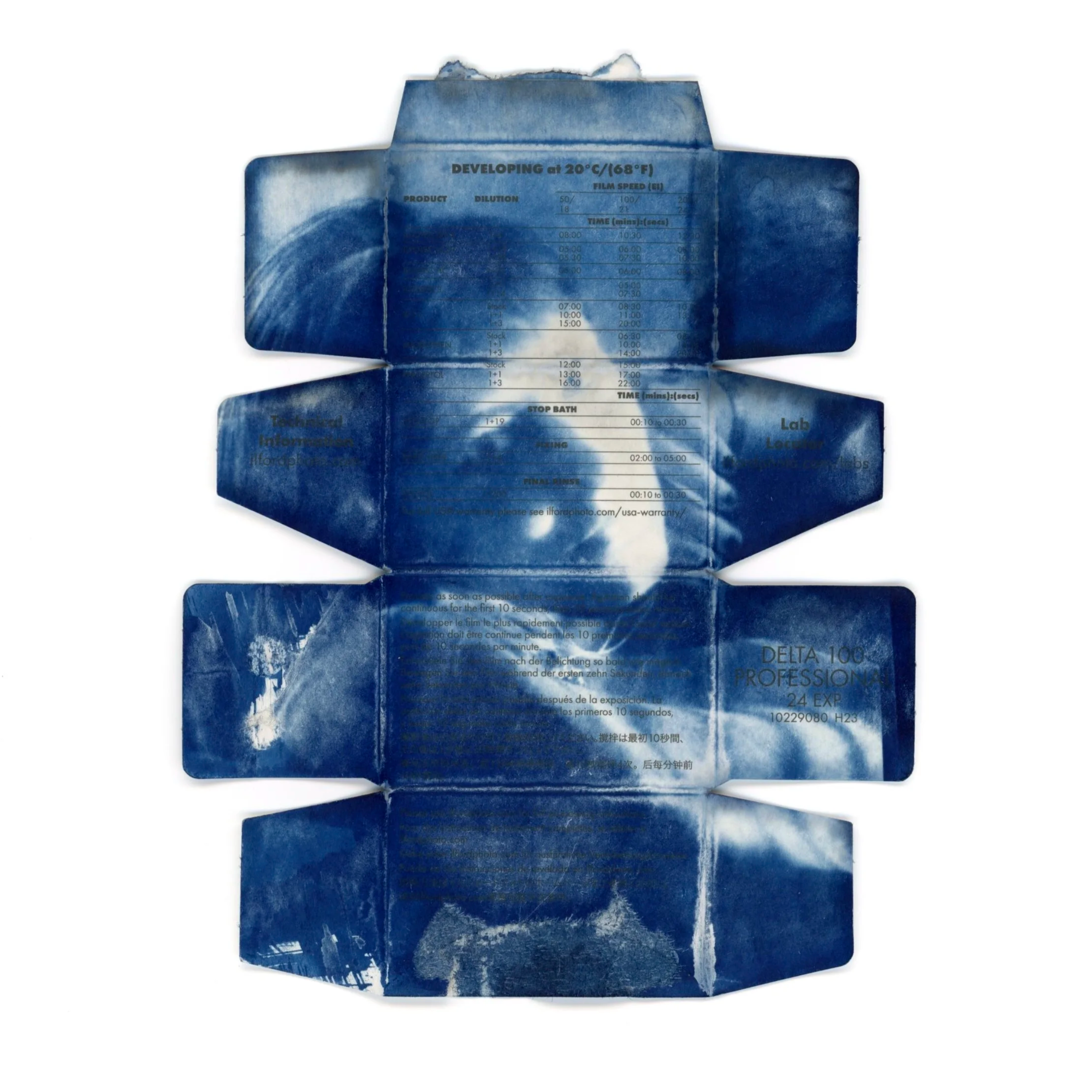 Sheryl Rodts, St. Petersburg College, Cyanotype on Ilford Film Box