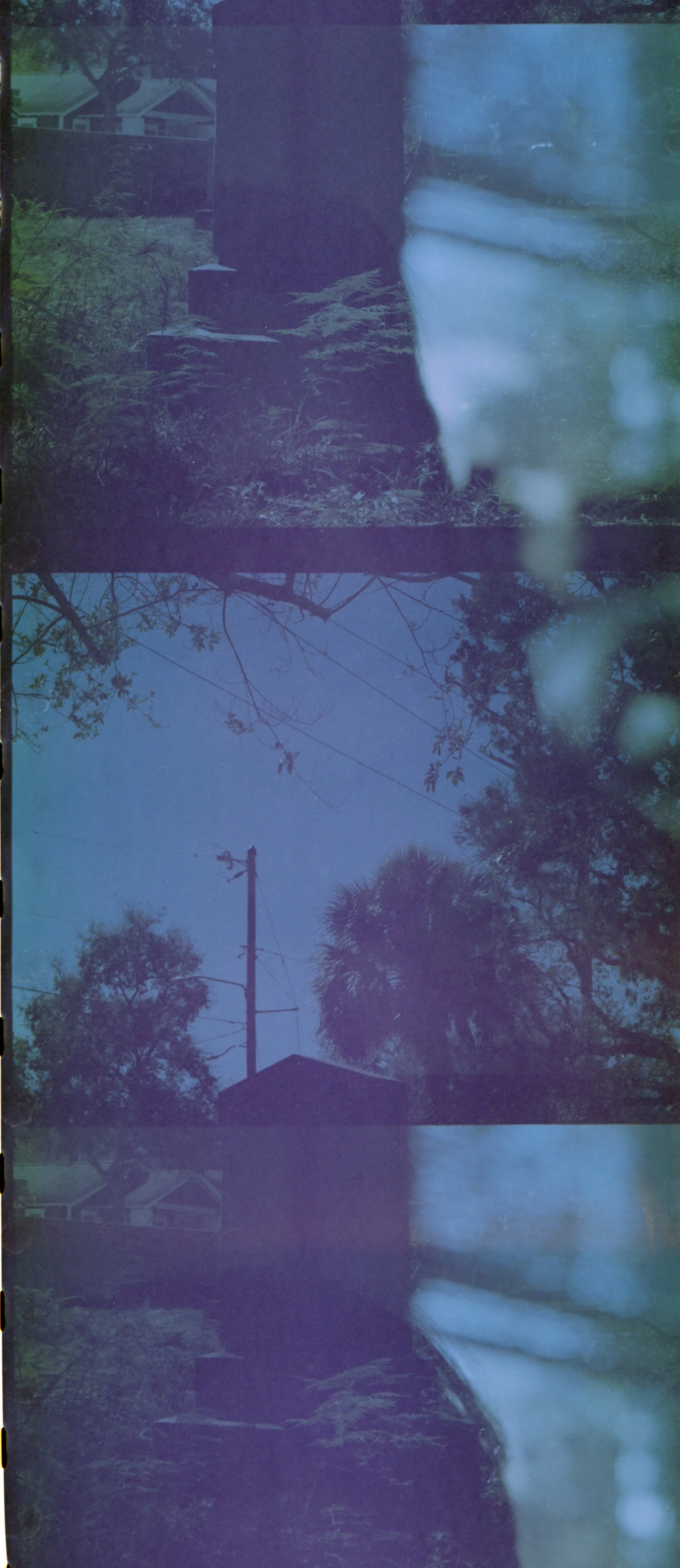 Sheryl Rodts, St. Petersburg College, Double Exposure on Kodak Gold 200