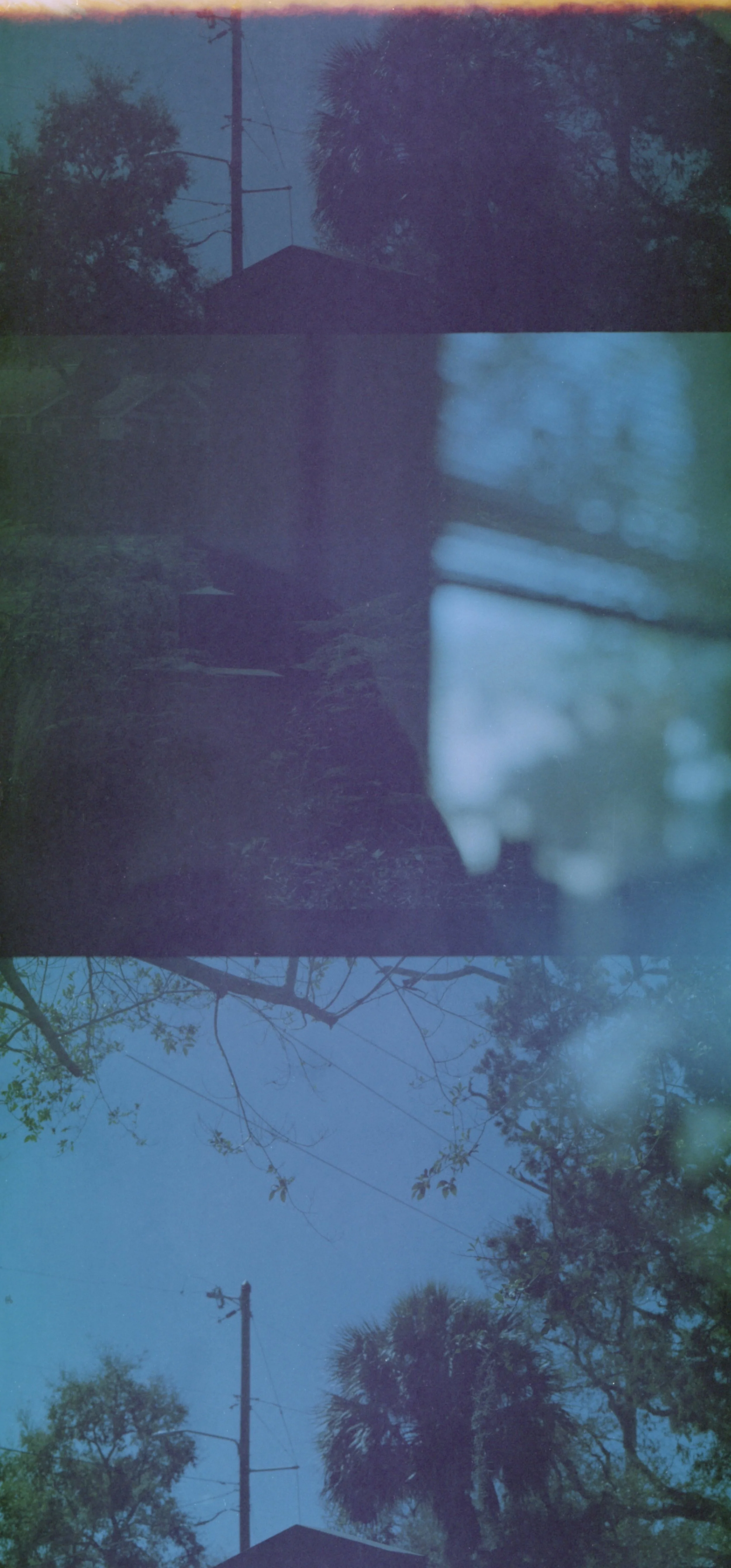 Sheryl Rodts, St. Petersburg College, Double Exposure on Kodak Gold 200