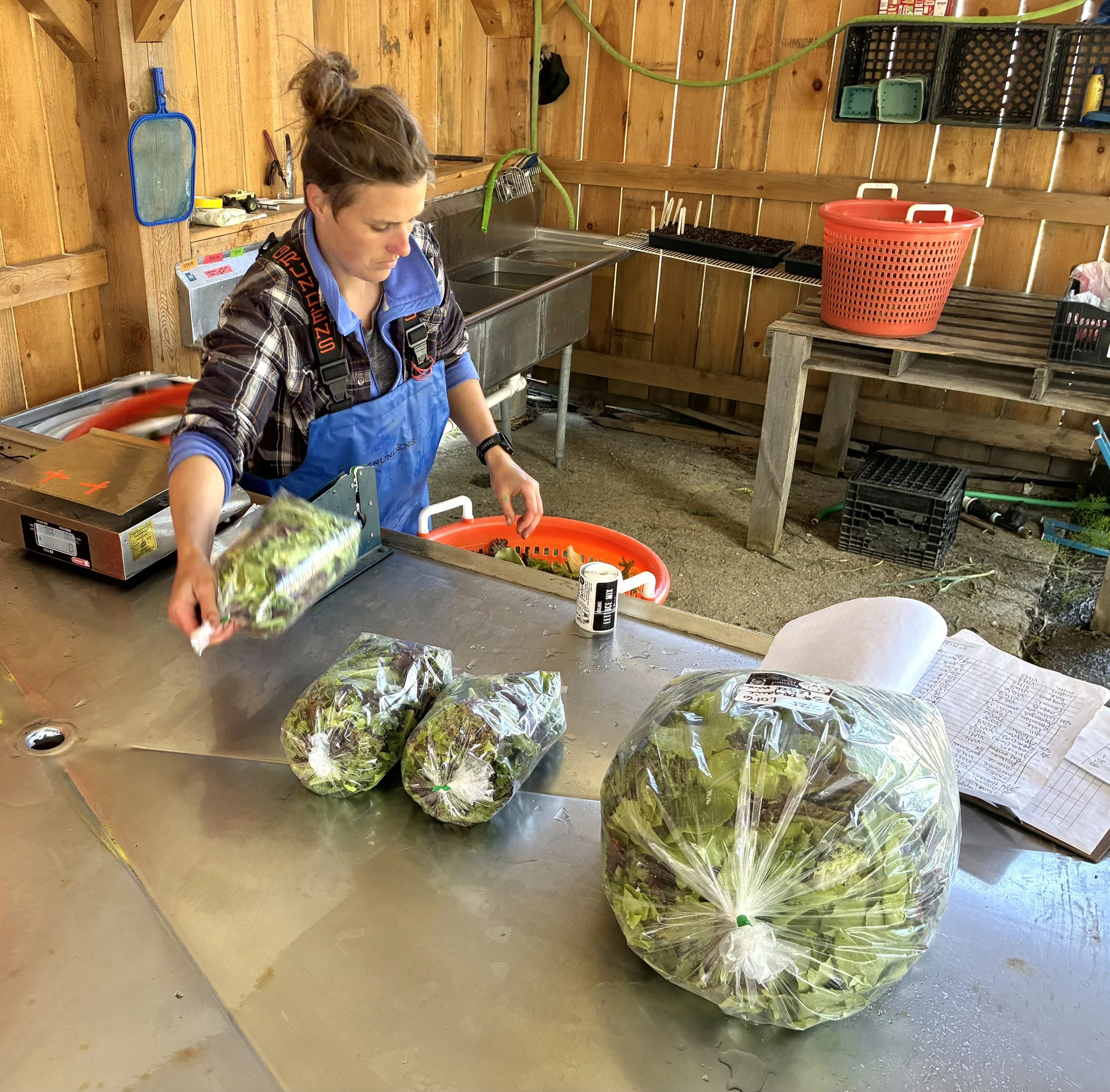 Week in the Life: Mid-May 2026
