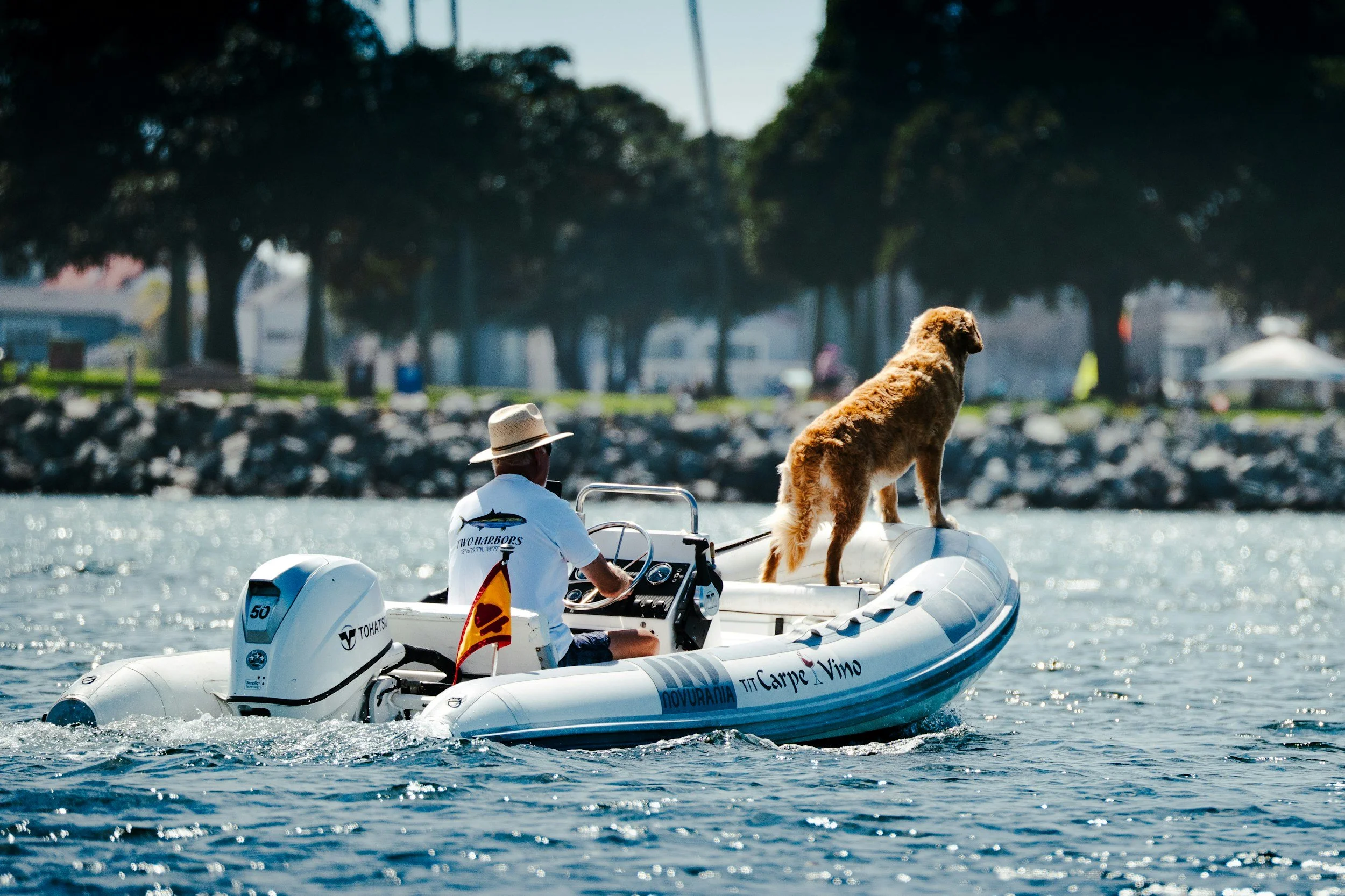 The Perfectionism Trap: Why the "San Diego Dream" Can Add Pressure To Your Life