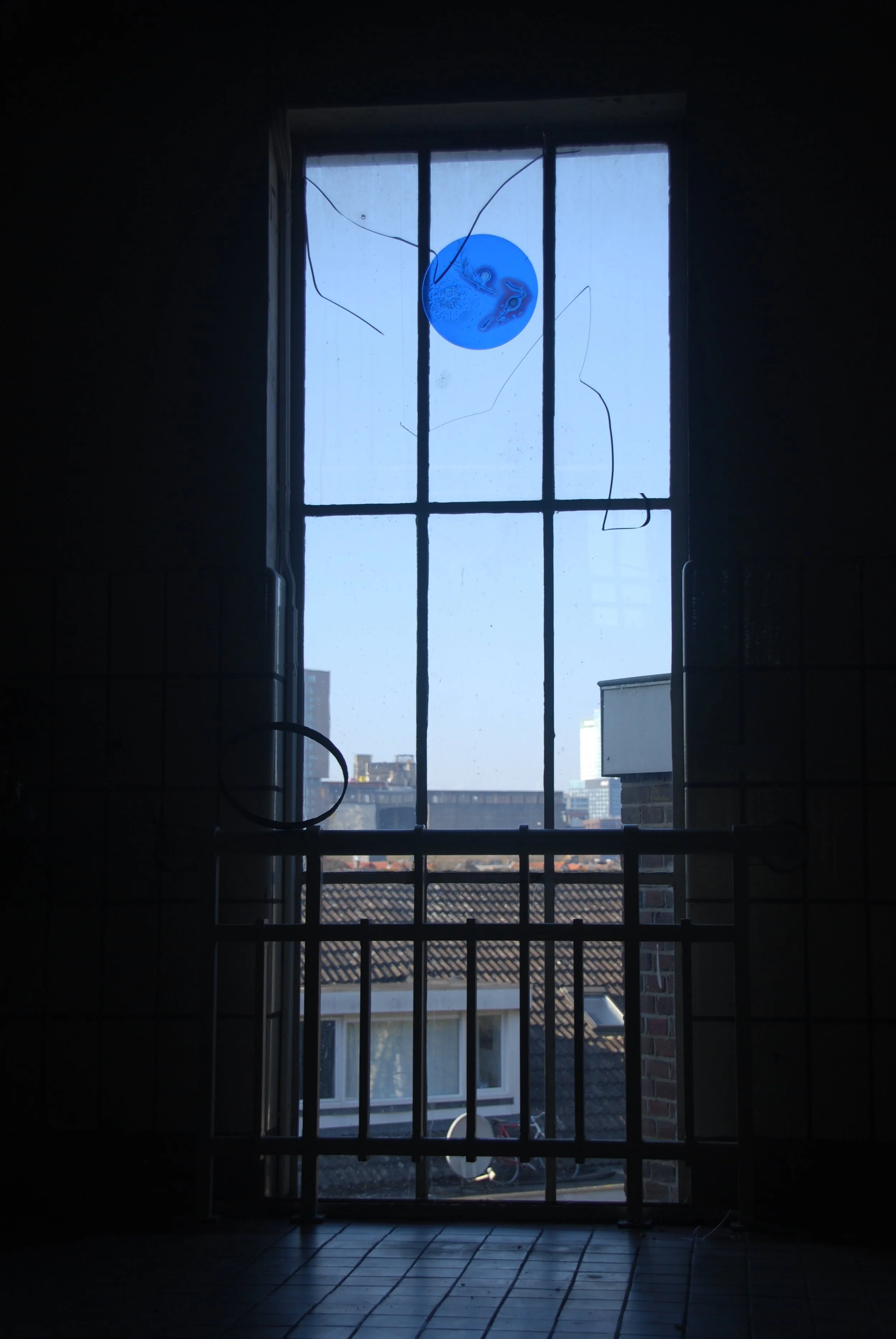 blue (10).JPG