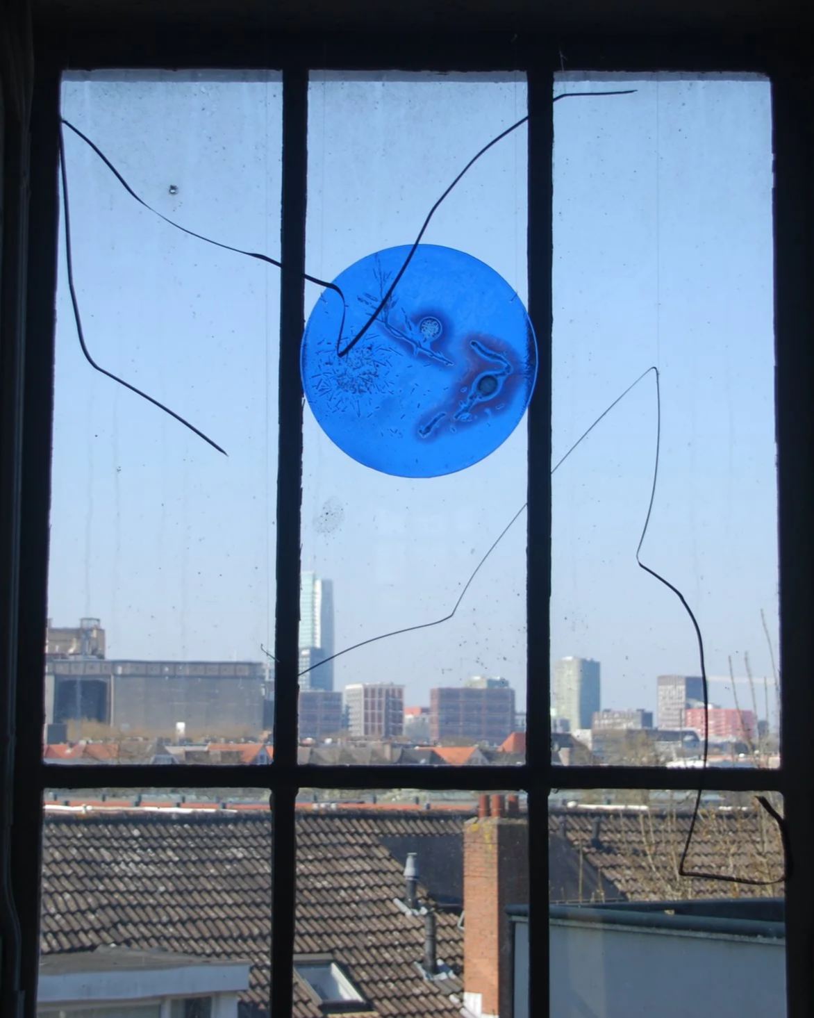 blue%2B%25281%2529.png
