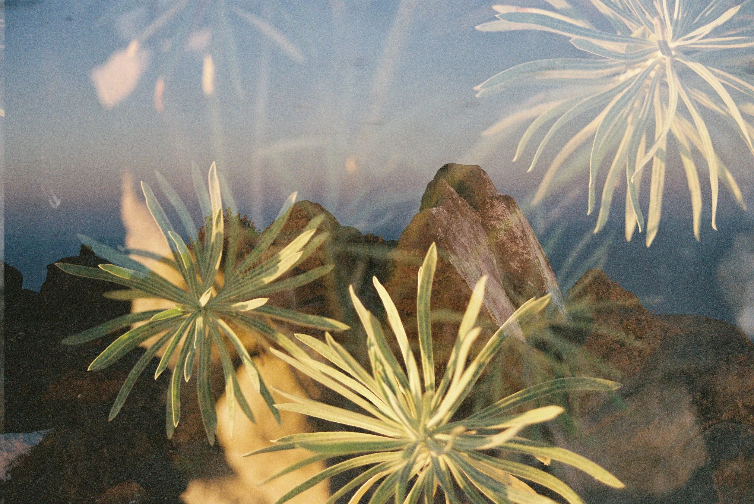 Double exposure example 3 K.Dembinski.JPG