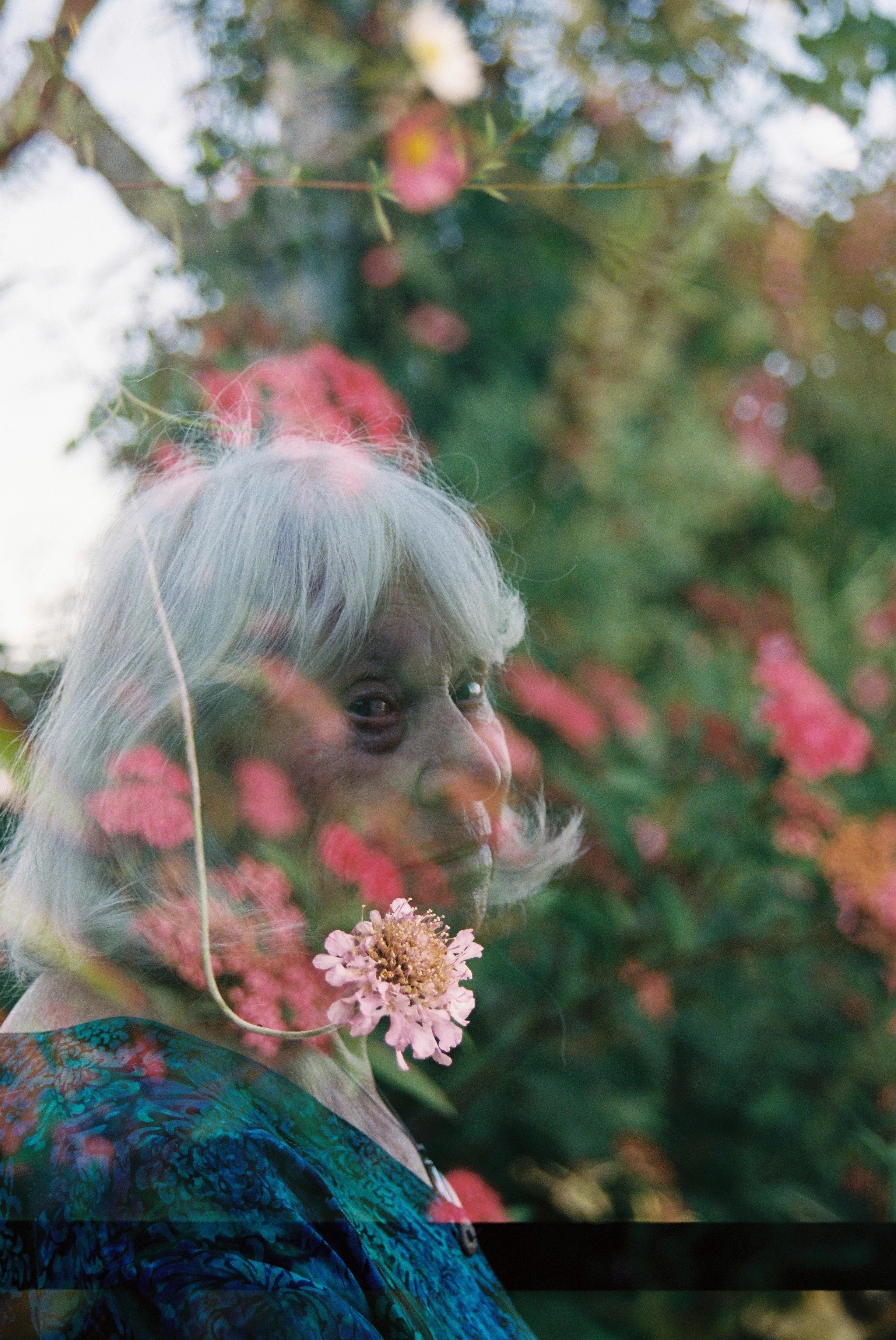 000017.JPG
