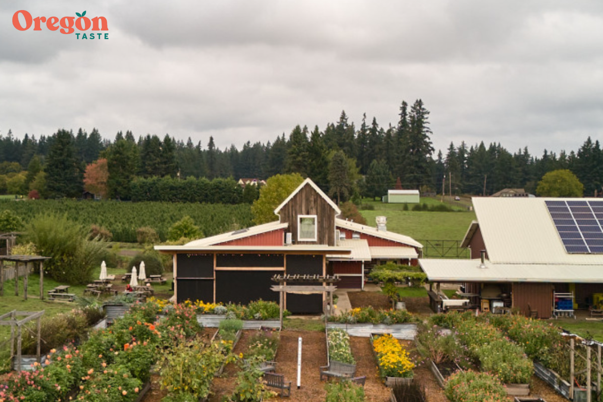 Cutting Costs on the Road: How Our Table Cooperative Tapped Oregon's Zero-Emission Rebates Program