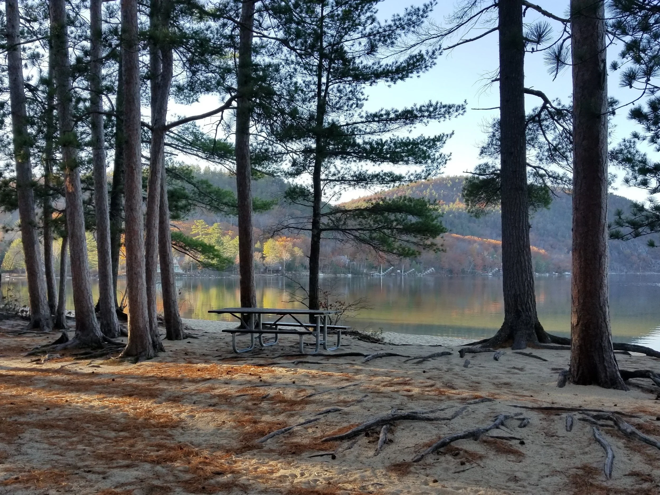 Wellington State Park, Bristol, November 6, 2021