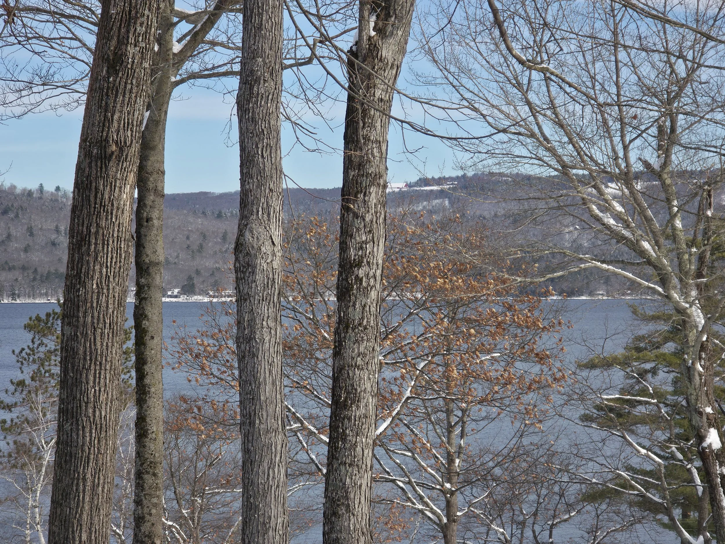 Alexandria, December 3, 2025