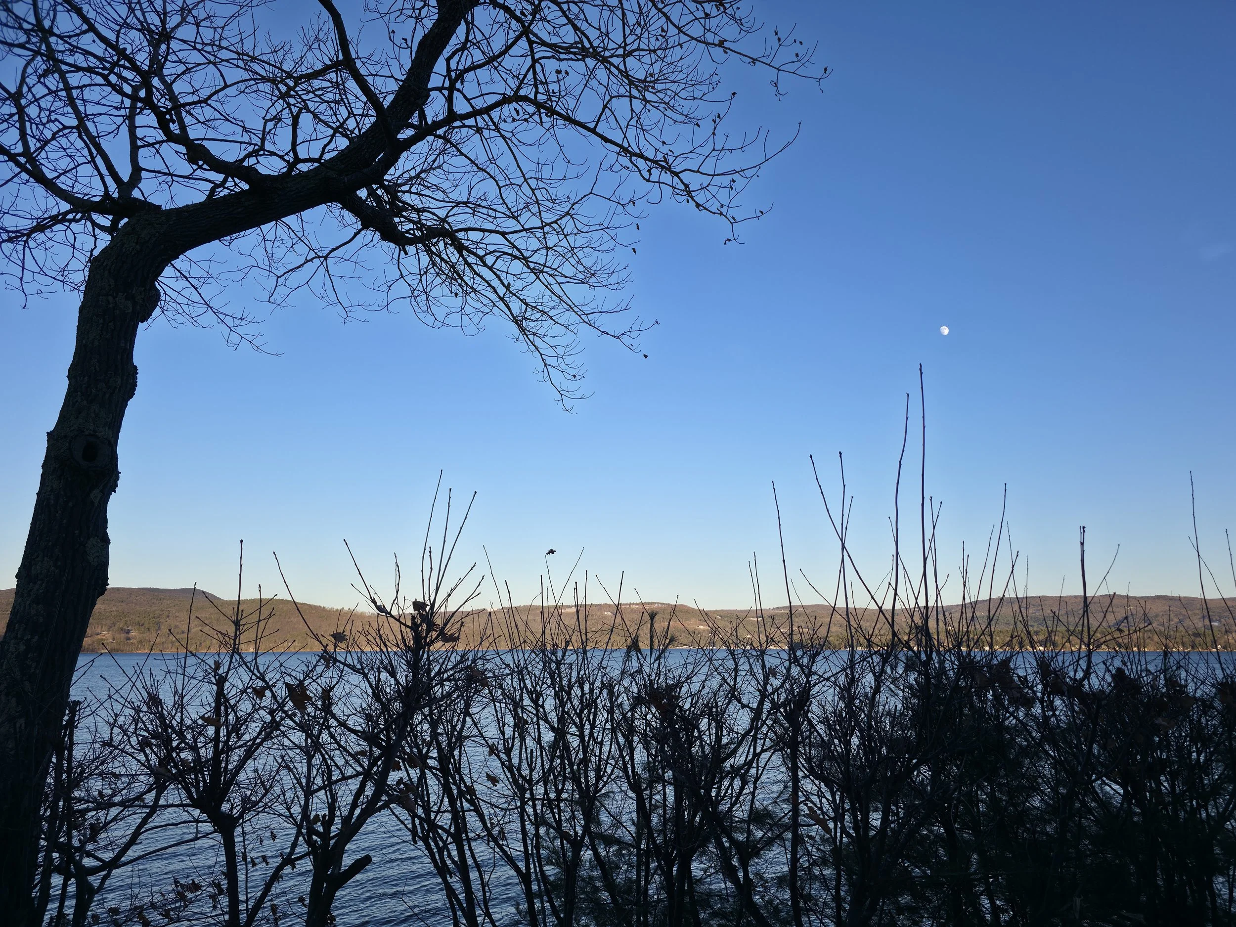 Alexandria, December 1, 2025