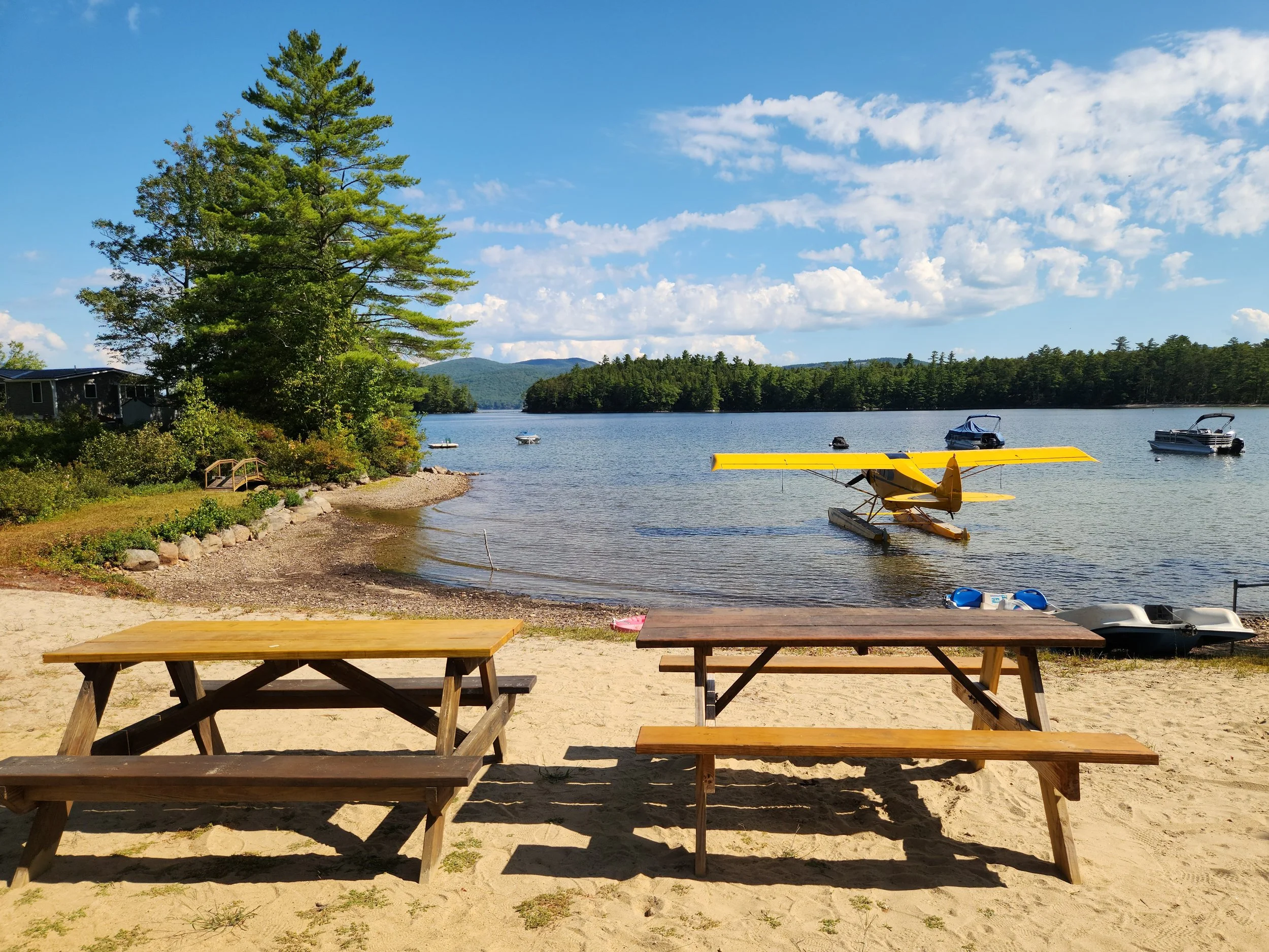 Alexandria, September 3, 2025