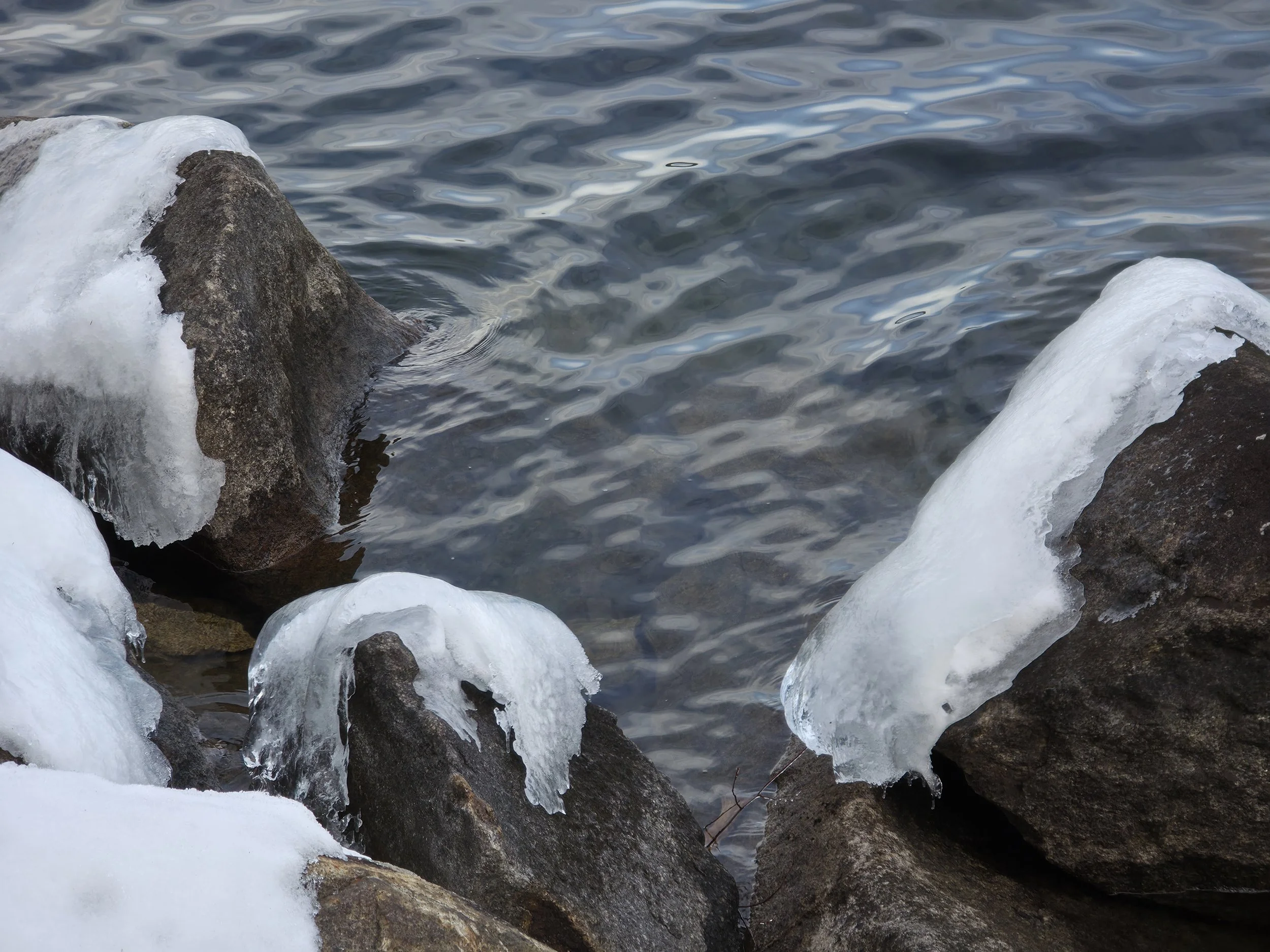 Alexandria, December 20, 2025