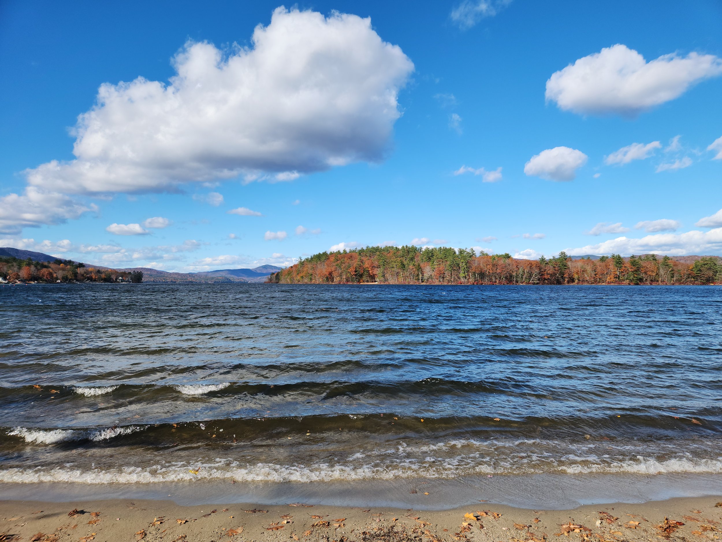 Wellington State Park, Bristol, October 26, 2024