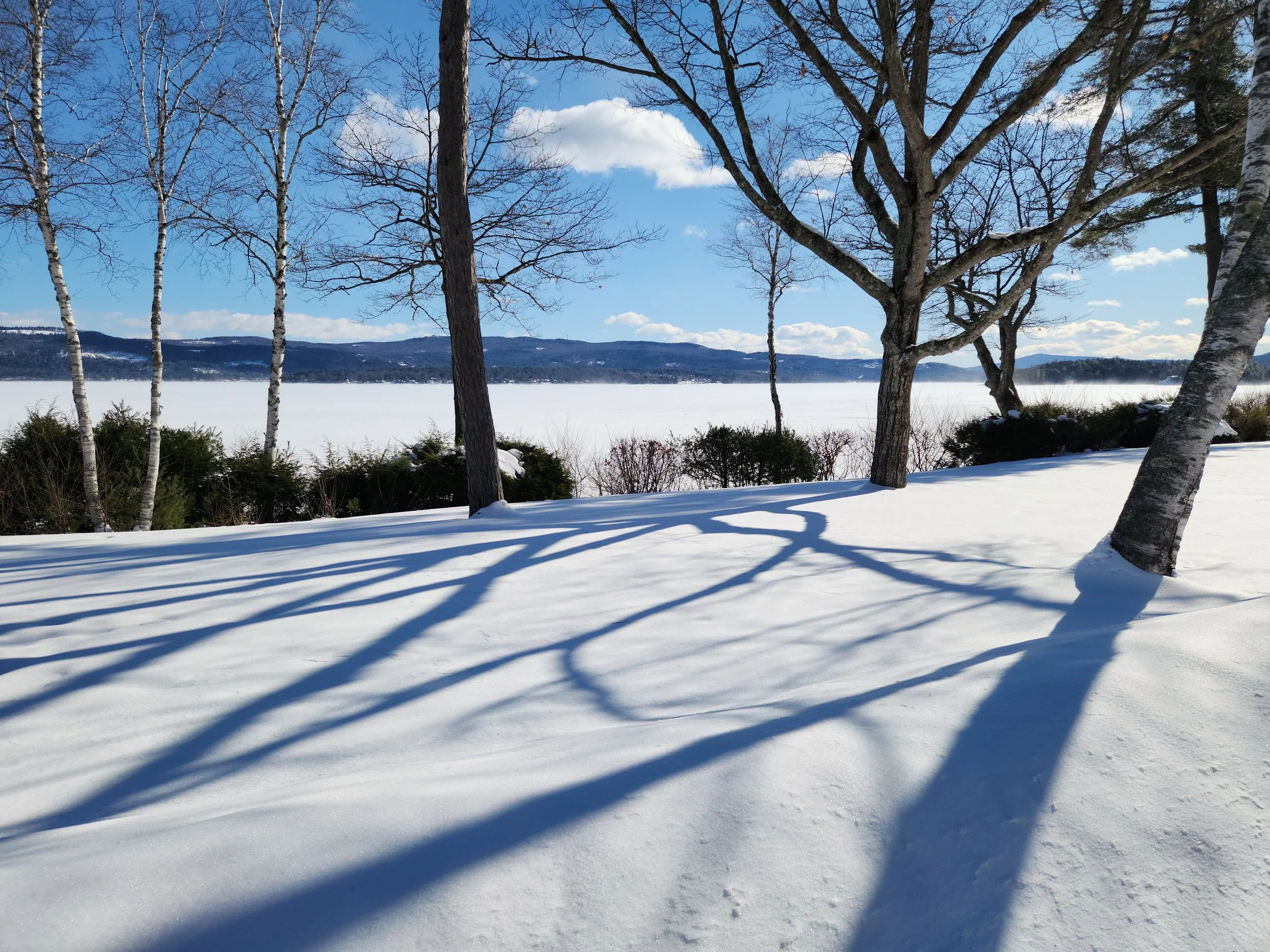 Alexandria, February 14, 2025