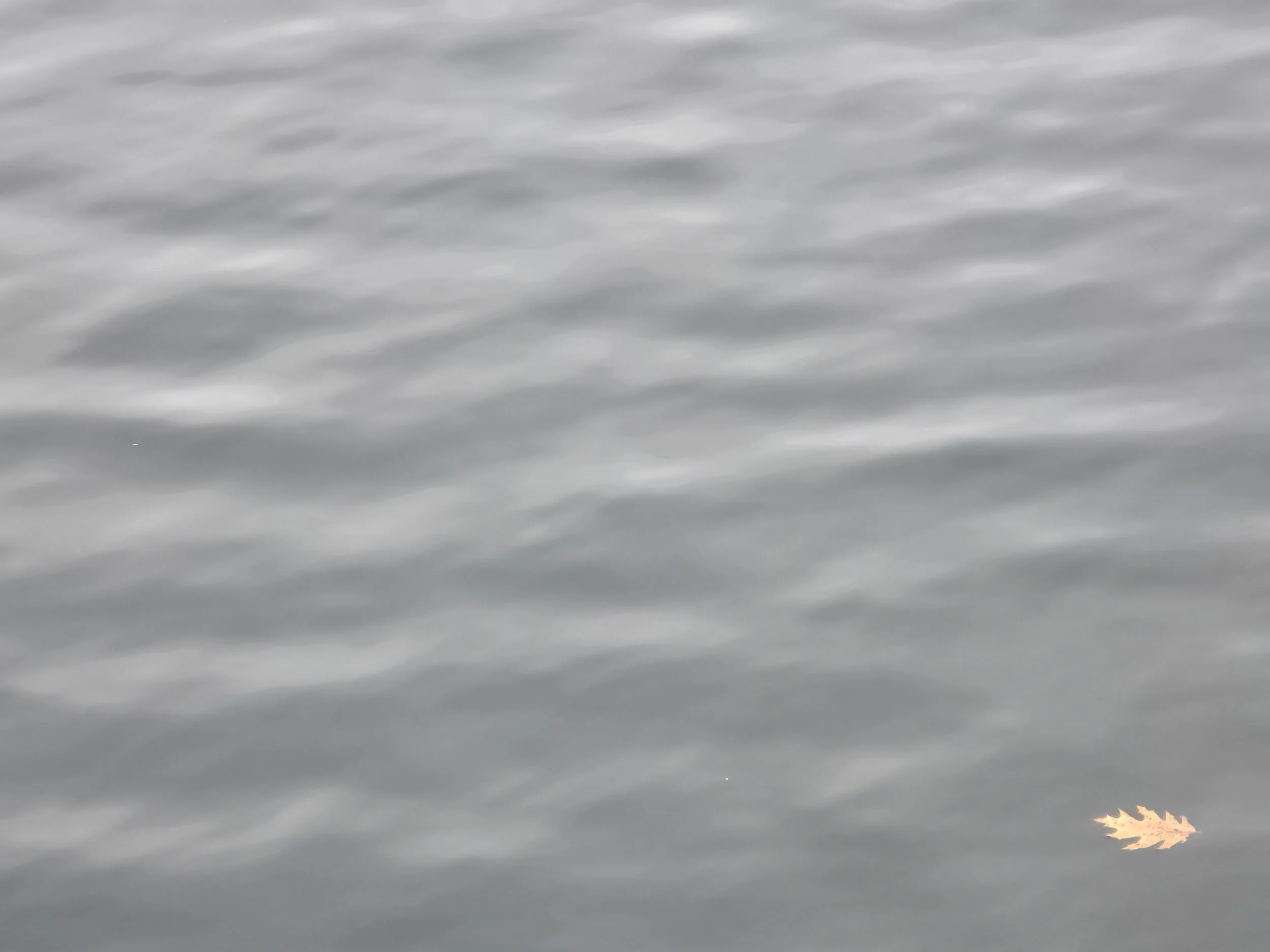 Alexandria, December 20, 2025